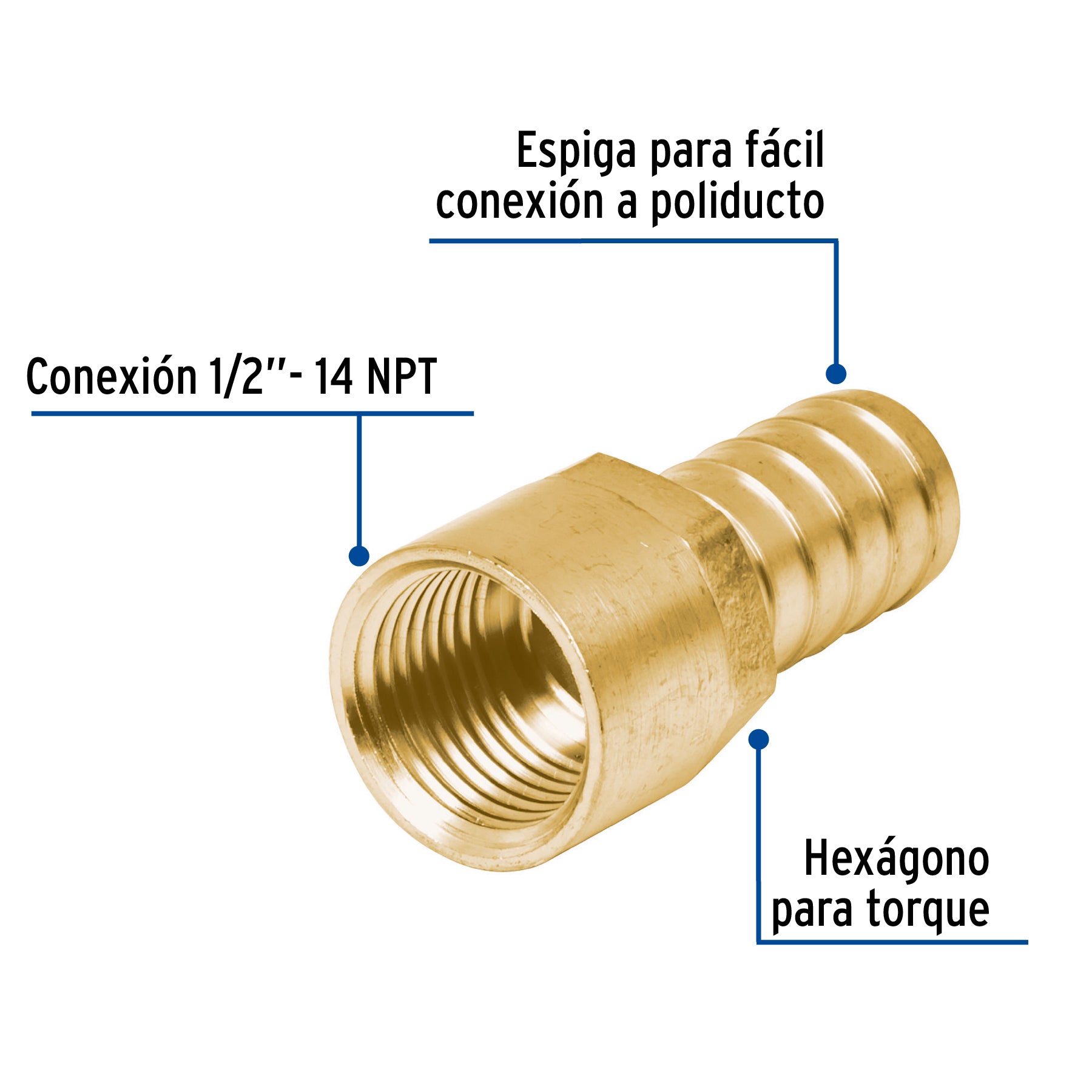 Adaptador hembra de latón 1/2" para manguera, FOSET