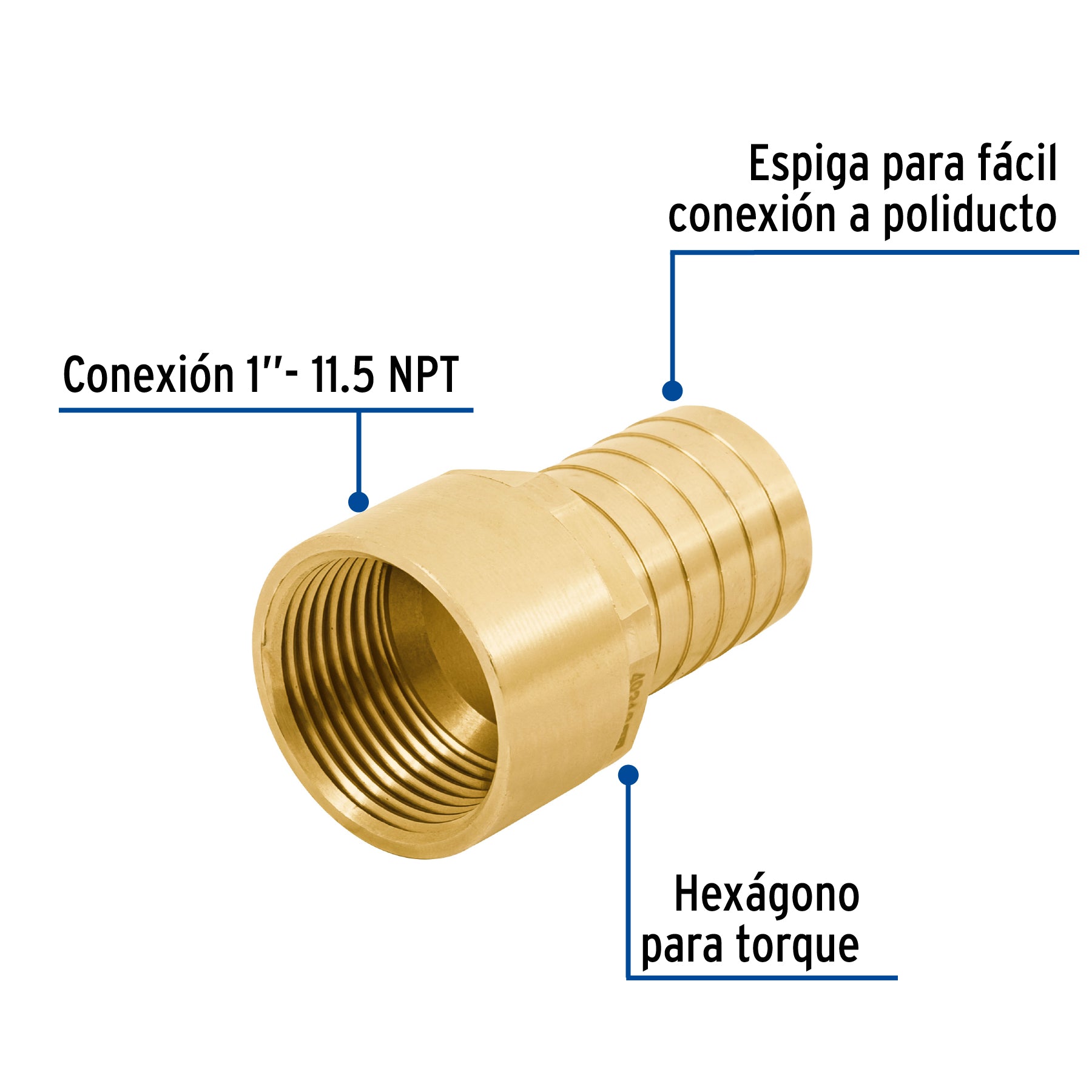 Adaptador hembra de latón 1" para manguera, FOSET