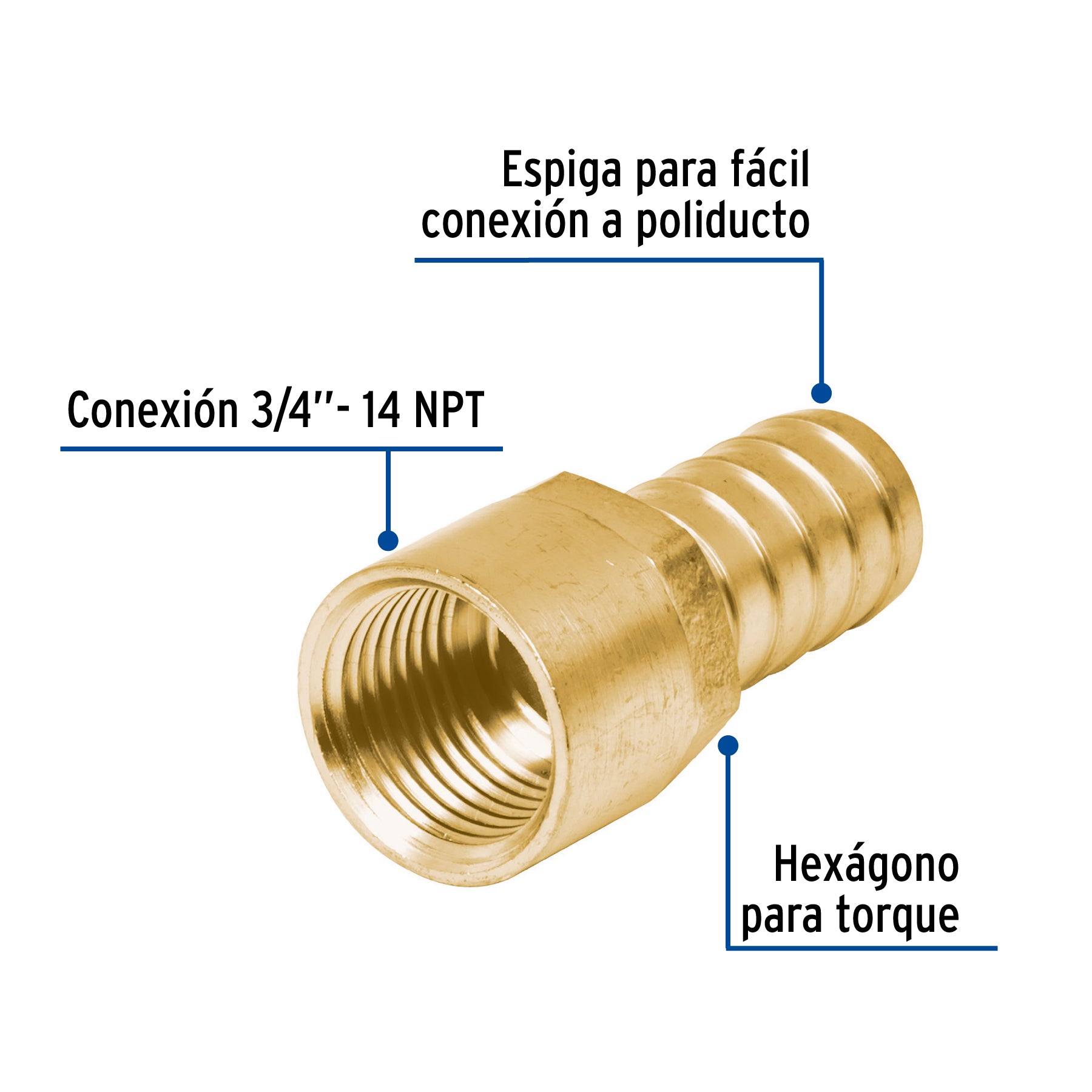 Adaptador hembra de latón 3/4" para manguera, FOSET