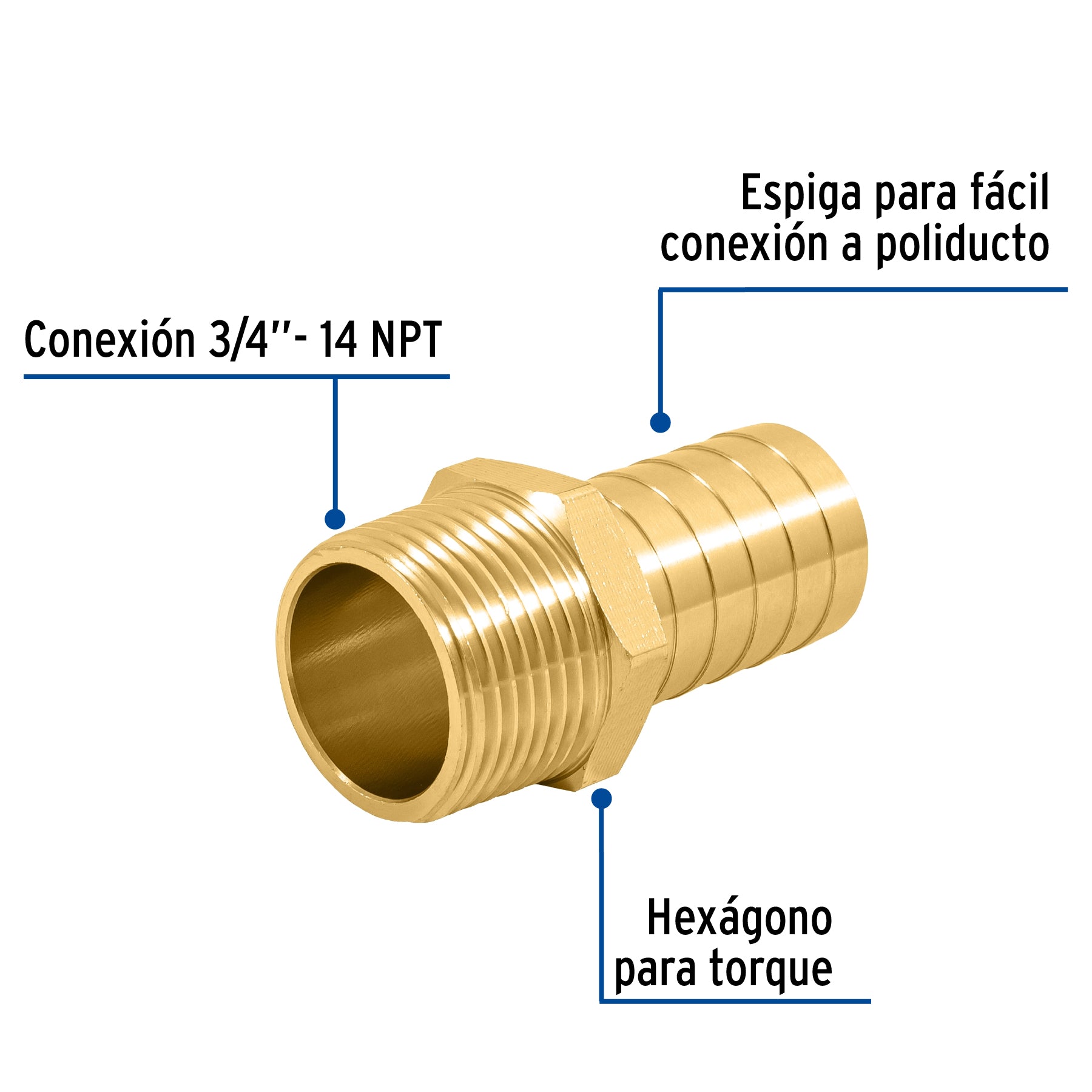 Adaptador macho de latón 3/4" para manguera, FOSET