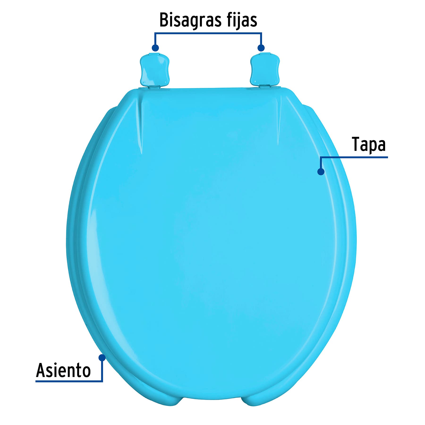 Asiento redondo con tapa para WC, abierto, azul, FOSET