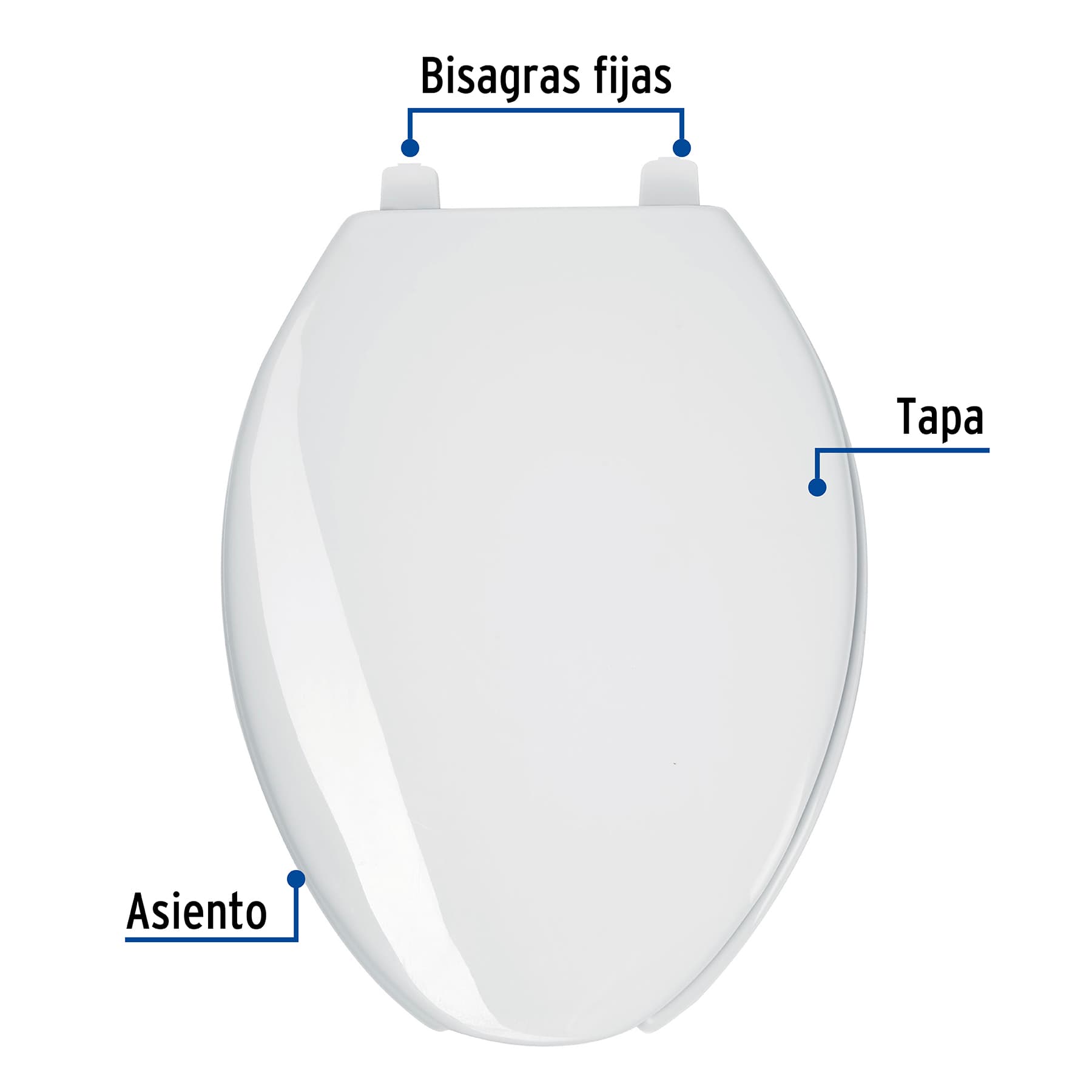 Asiento alargado con tapa para WC, abierto, blanco, FOSET