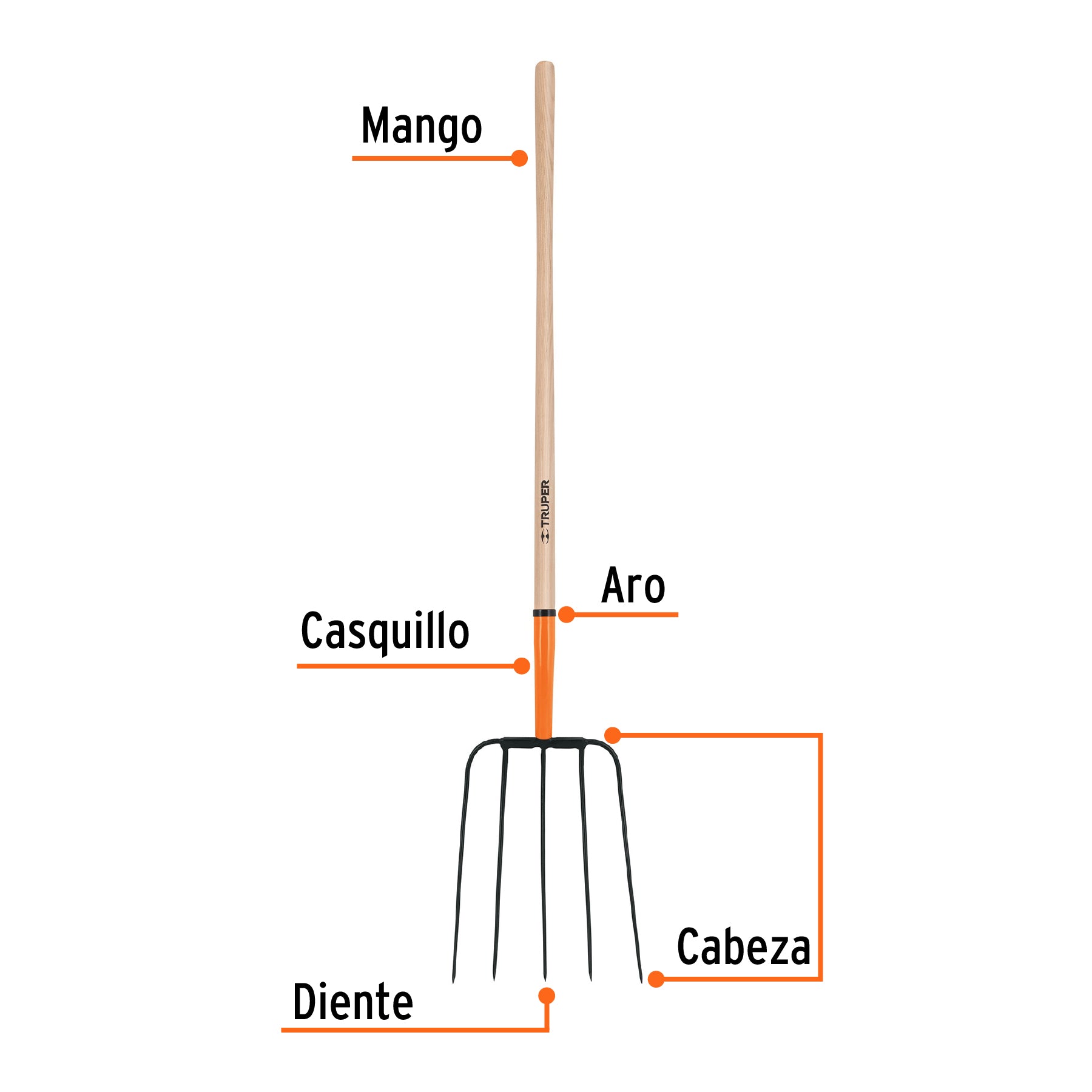 Bieldo para paja, 5 dientes, mango largo 48", cabeza grande