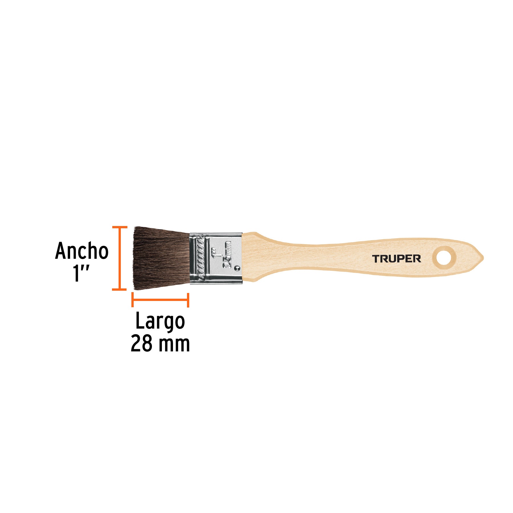 Brocha pelo de camello de 1" con mango de madera, TRUPER