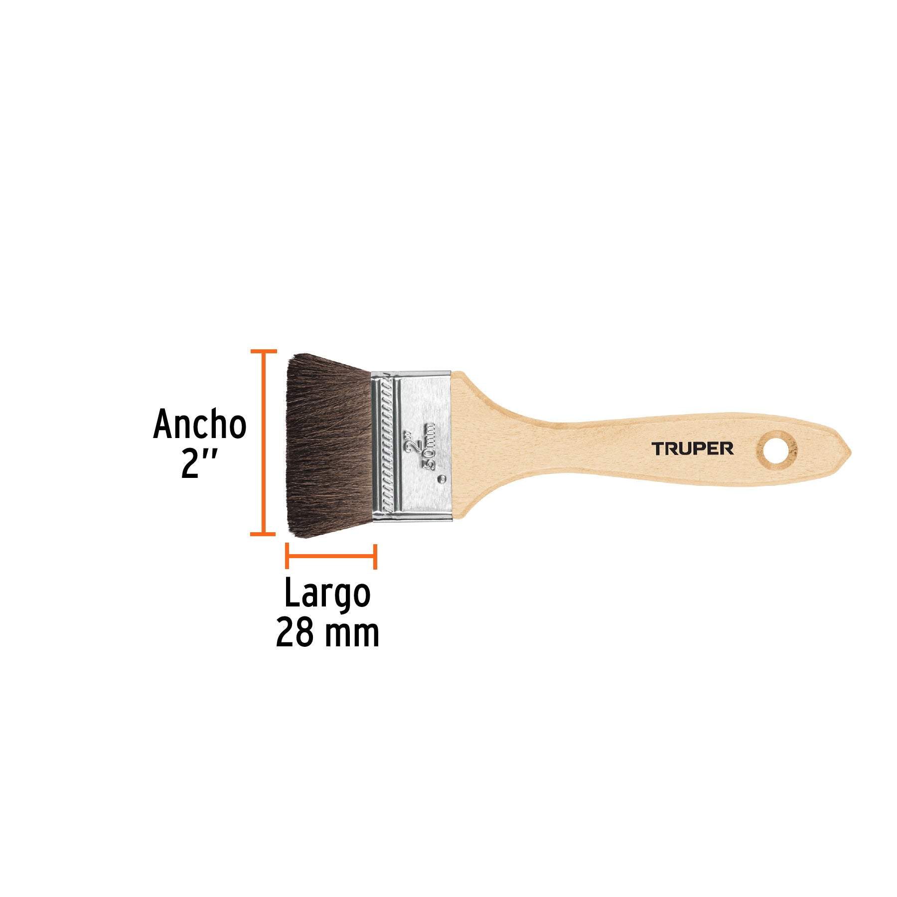 Brocha pelo de camello de 2" con mango de madera, TRUPER