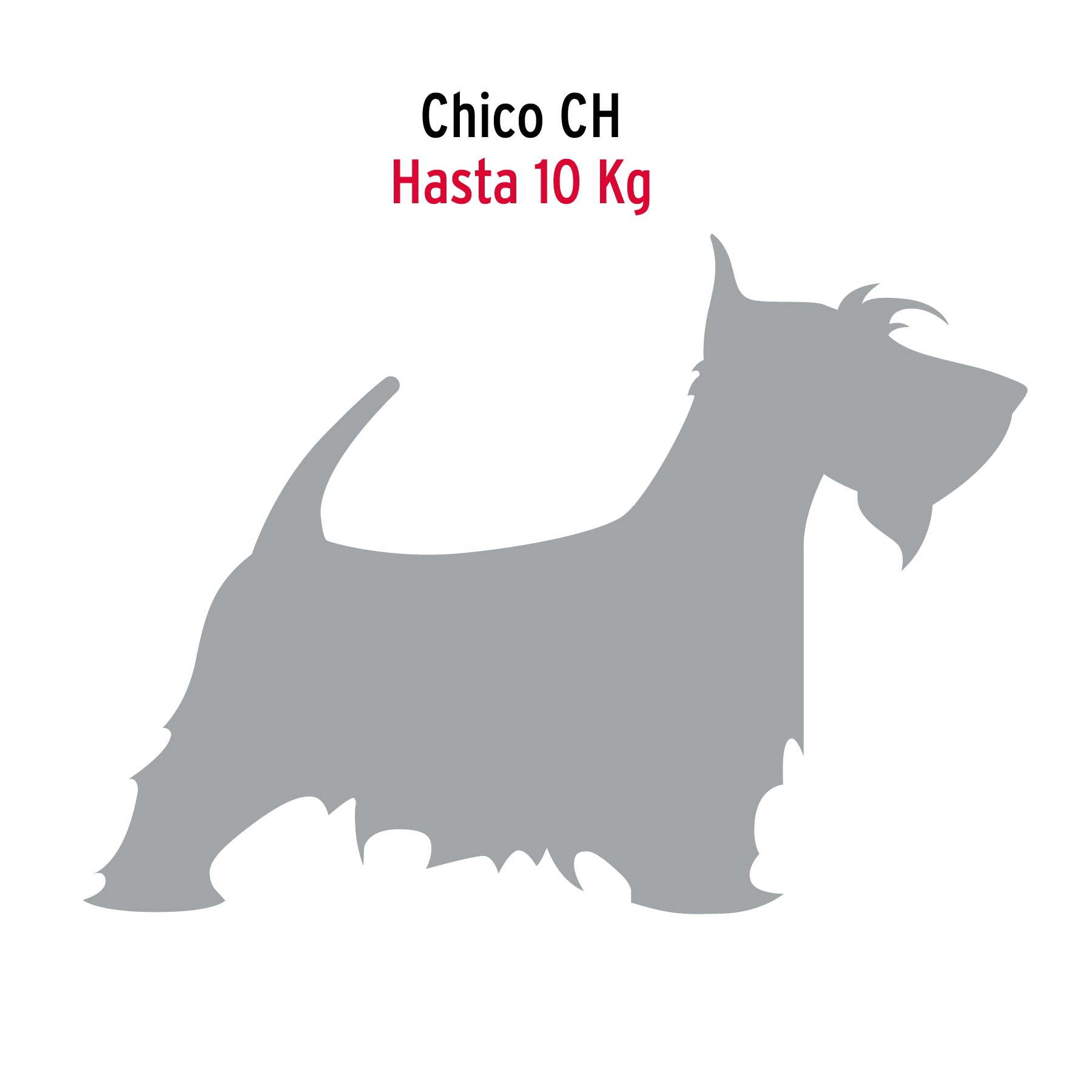 Cadena de paseo para perro de 1.2 m x 2.5 mm, FIERO