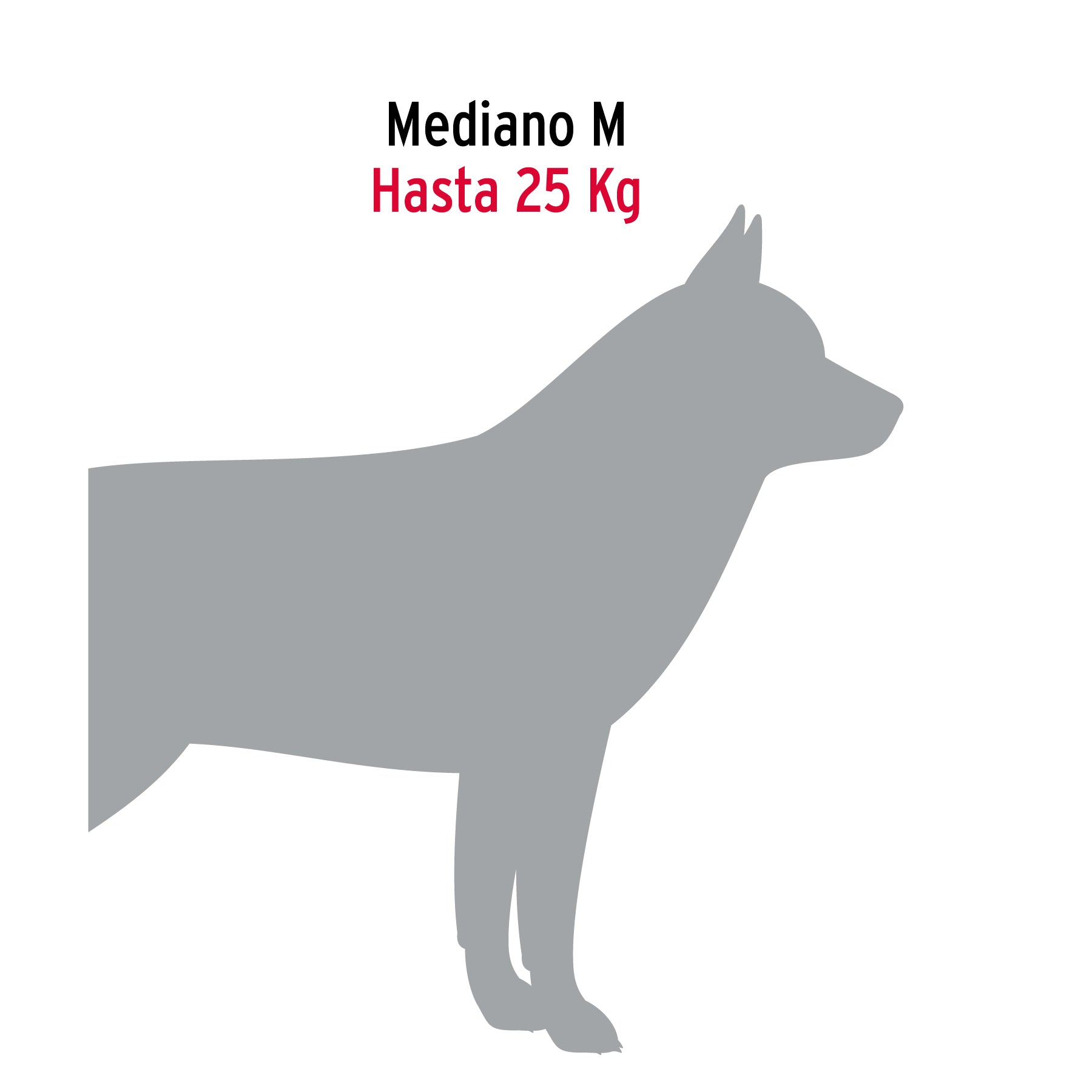Cadena de 1.8 m de amarre para perro, 2.4 mm, FIERO