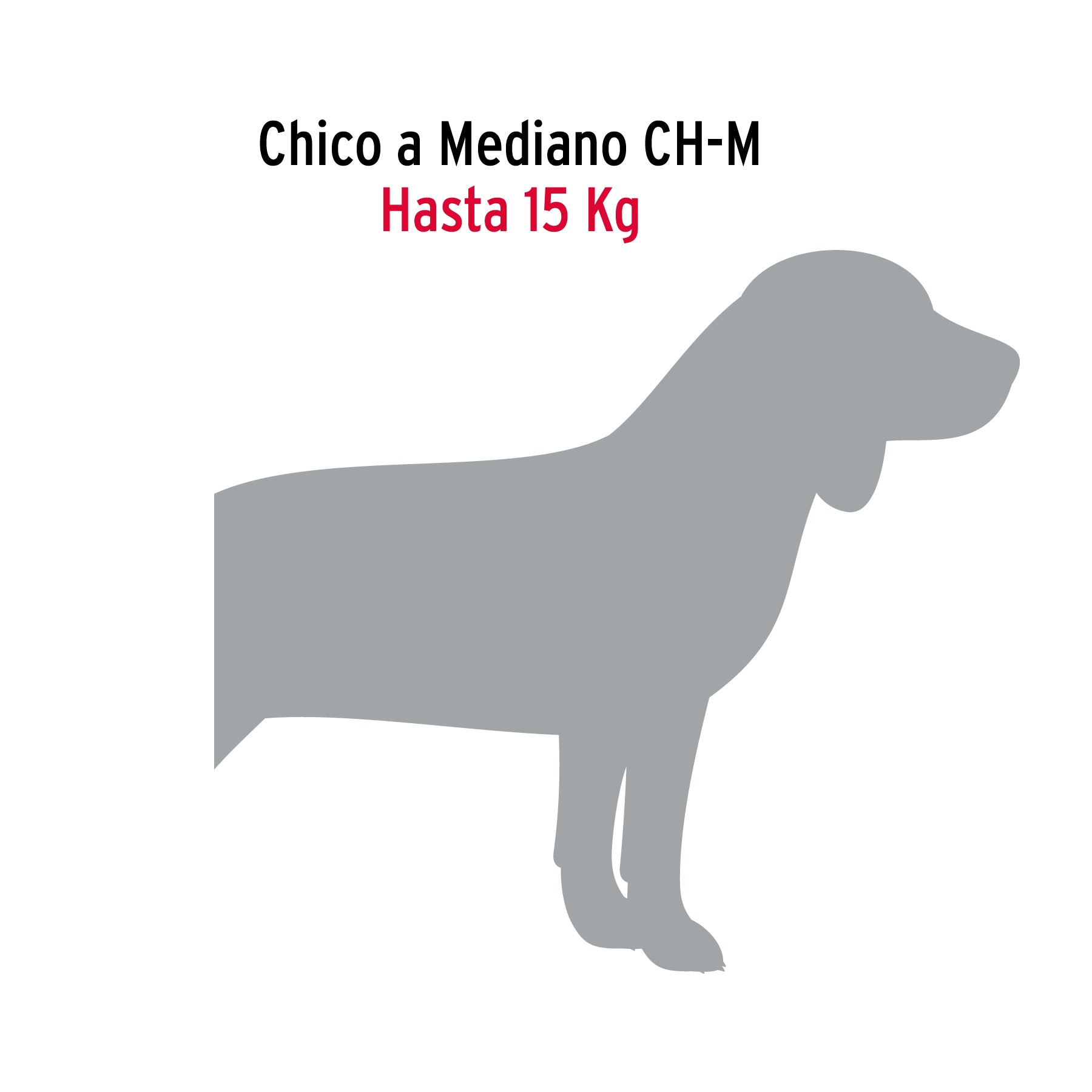 Cadena de paseo para perro de 1.2 m x 3 mm, FIERO