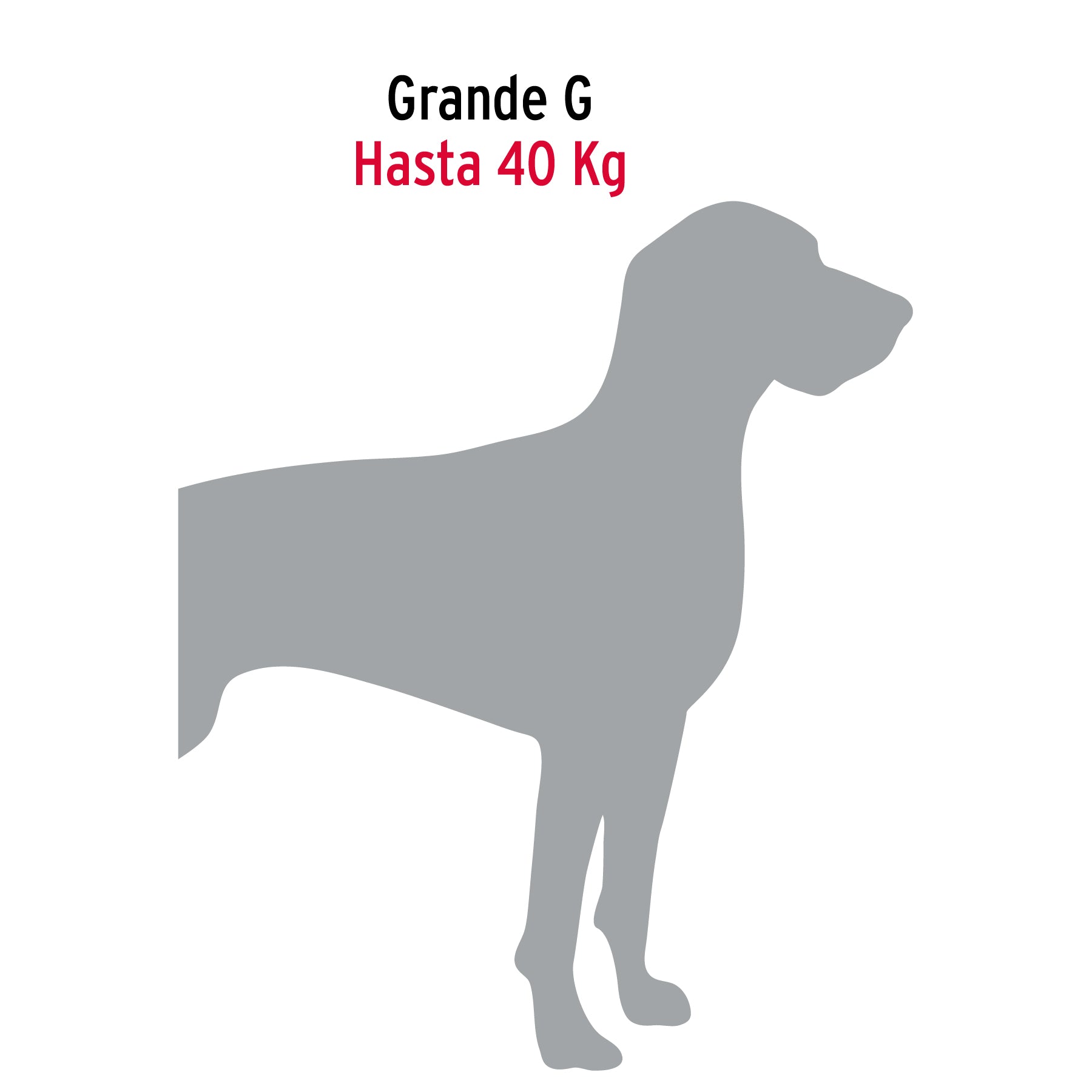 Cadena de 1.8 m de amarre para perro, 2.7 mm, FIERO