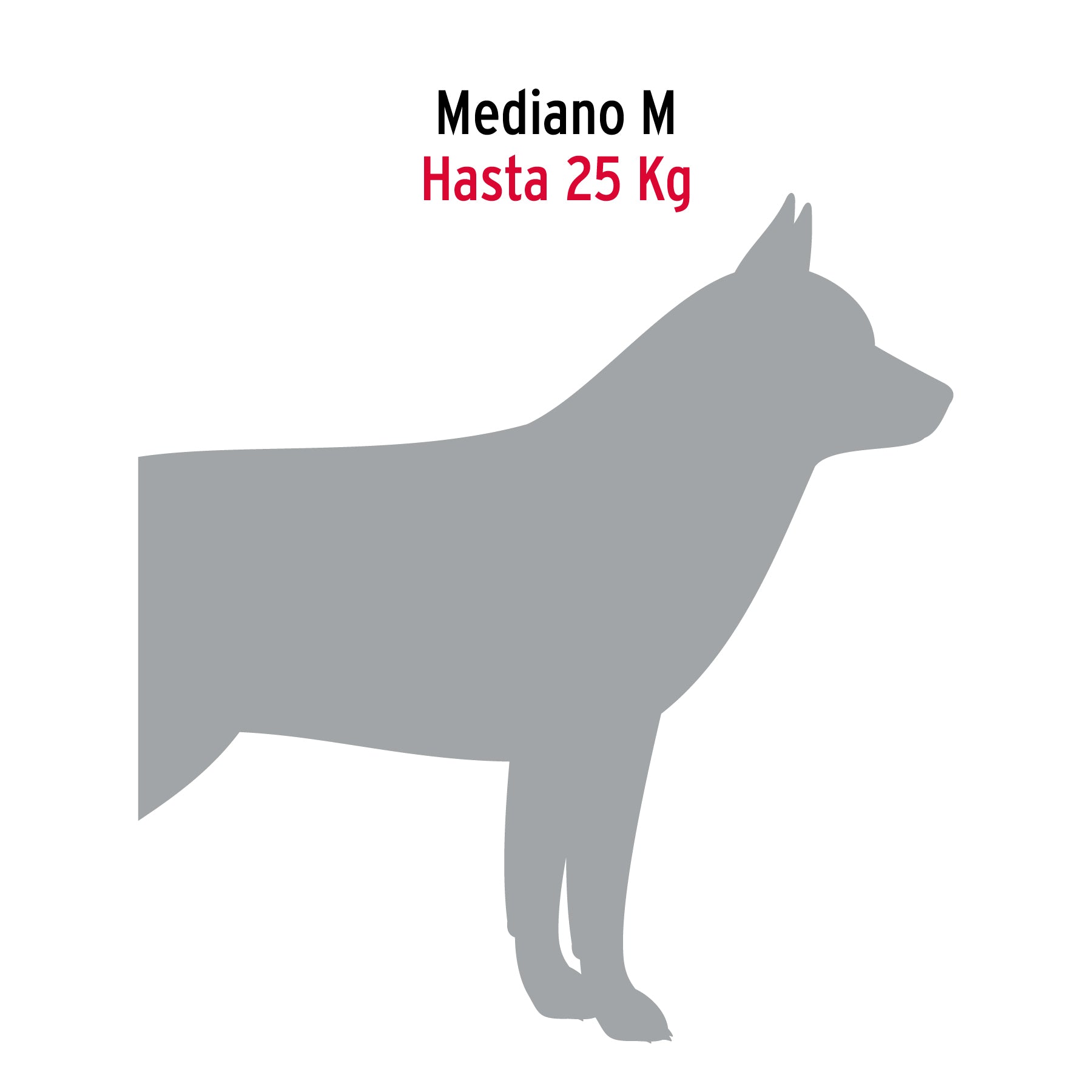 Cadena de paseo para perro de 1.2 m x 3.5 mm, FIERO