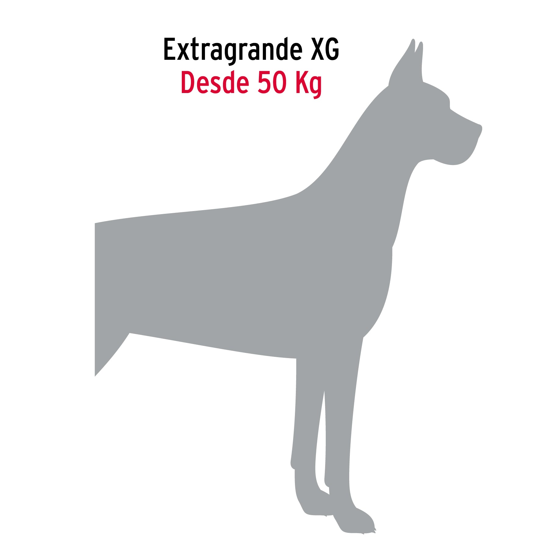Cadena de 1.8 m de amarre para perro, 2.9 mm, FIERO