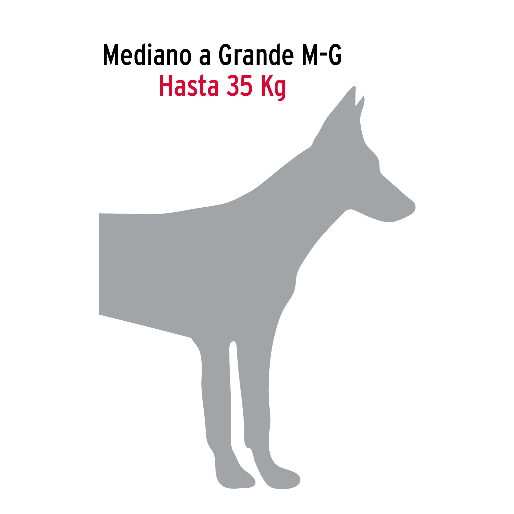 Cadena de paseo para perro de 1.2 m x 4 mm, FIERO