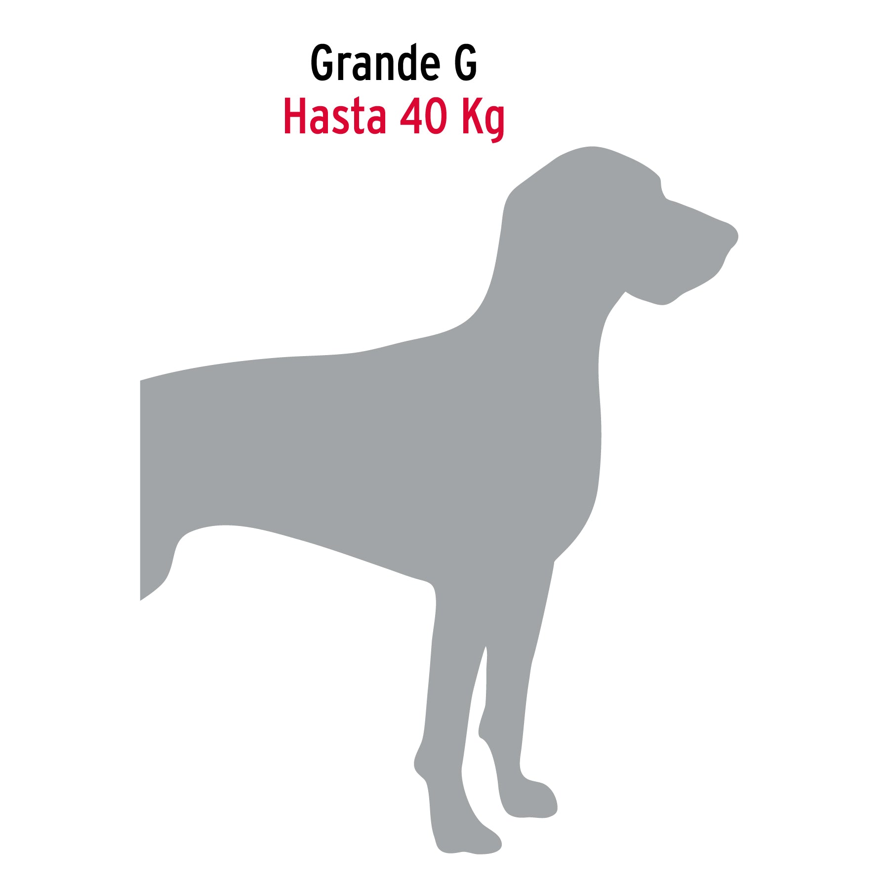 Cadena de paseo para perro de 1.2 m x 4.5 mm, FIERO