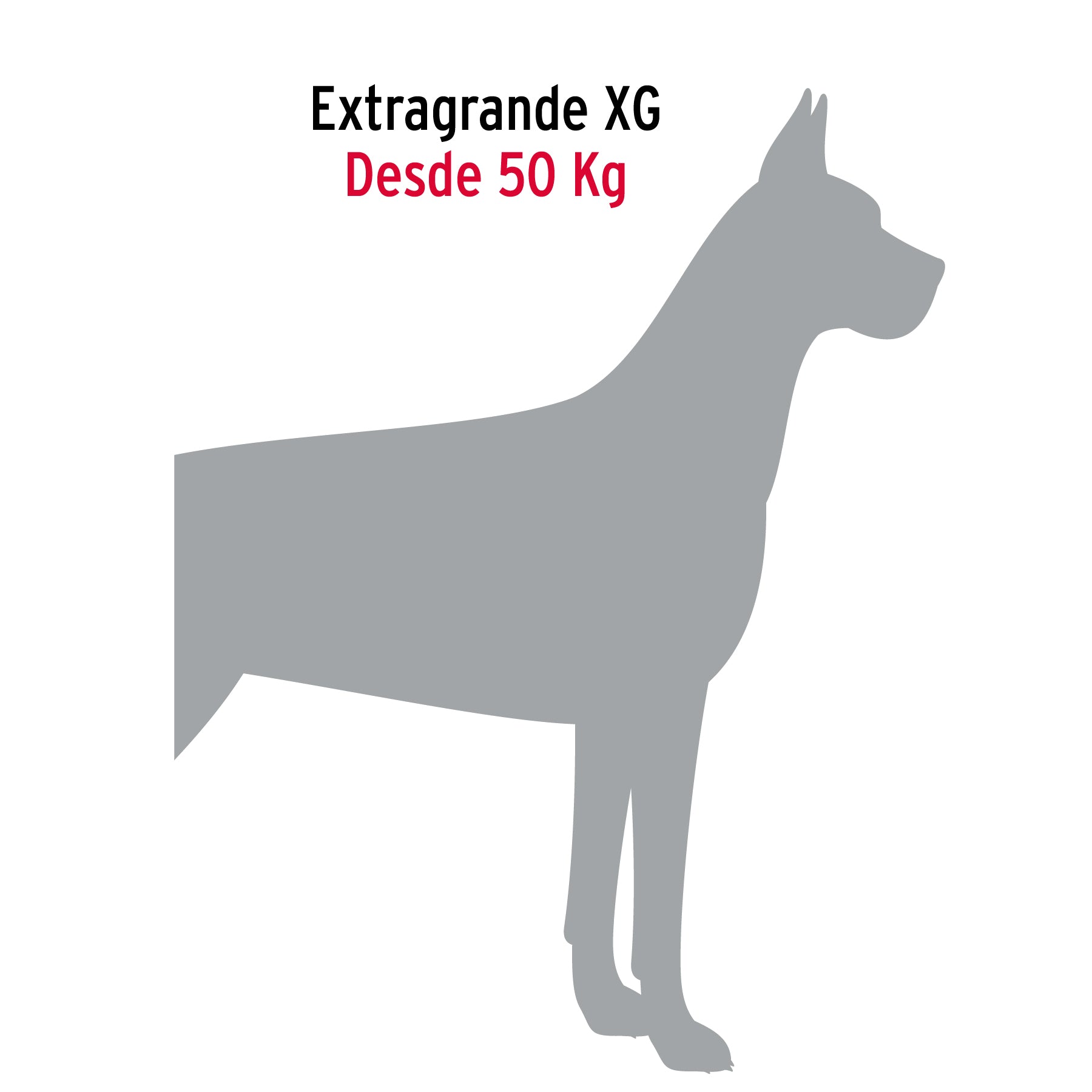 Cadena de paseo para perro de 1.2 m x 5 mm, FIERO