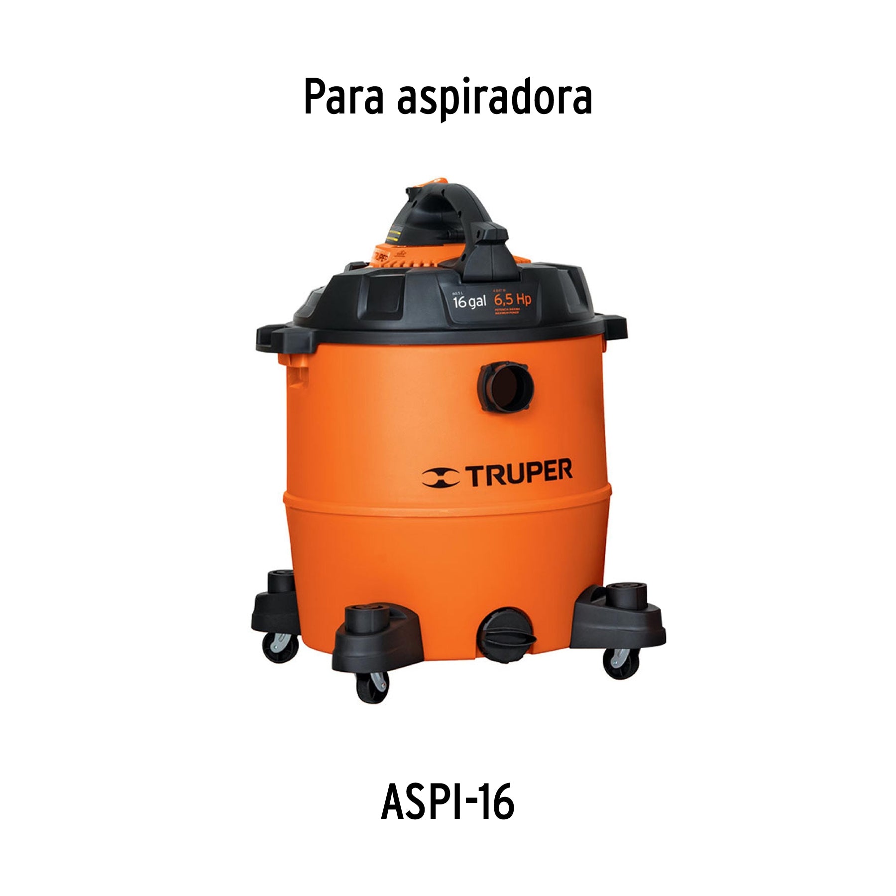 Bolsa con 2 carbones de repuesto para ASPI-16, TRUPER