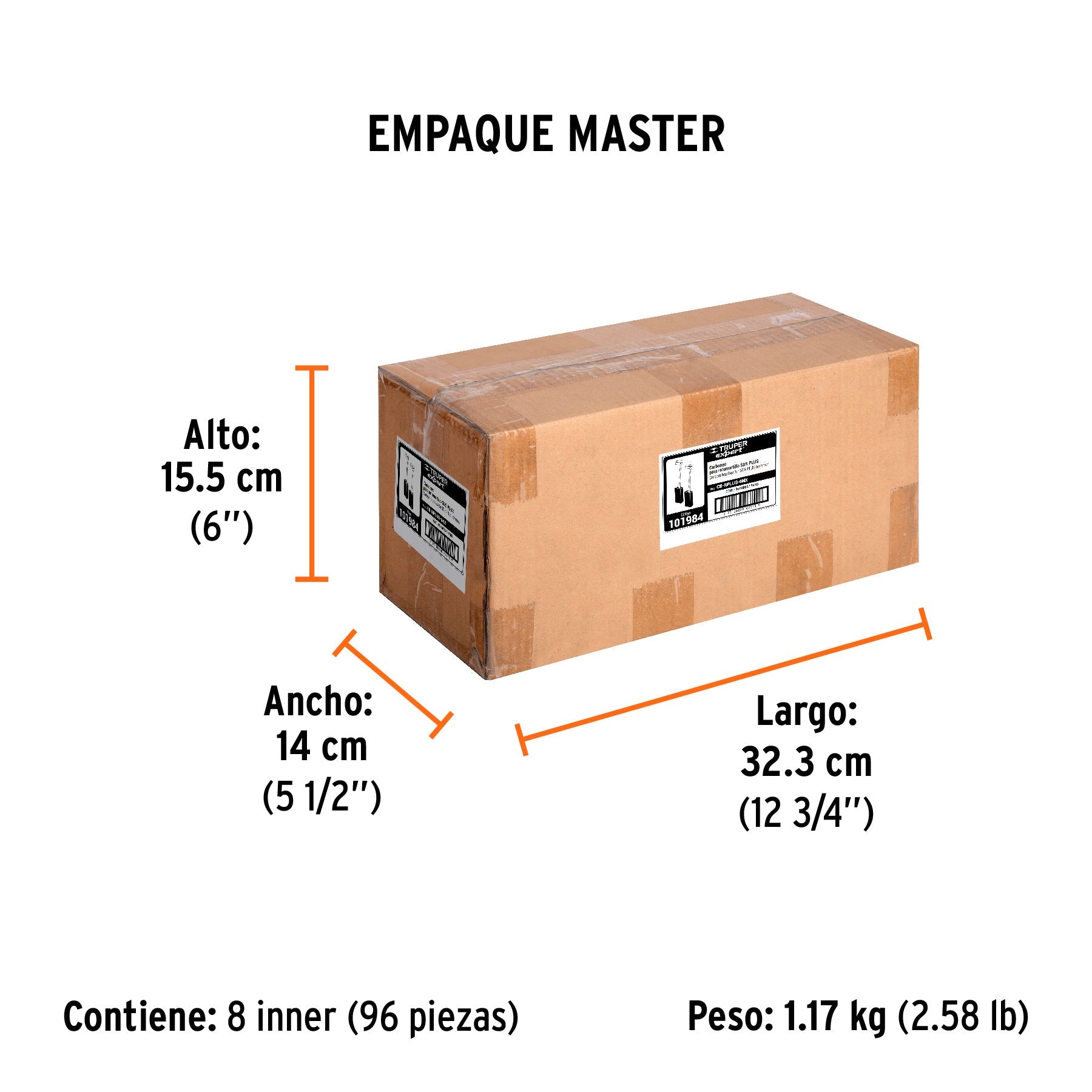 Bolsa con 2 carbones de repuesto para RPLUS-6NX, TRUPER - Empaque