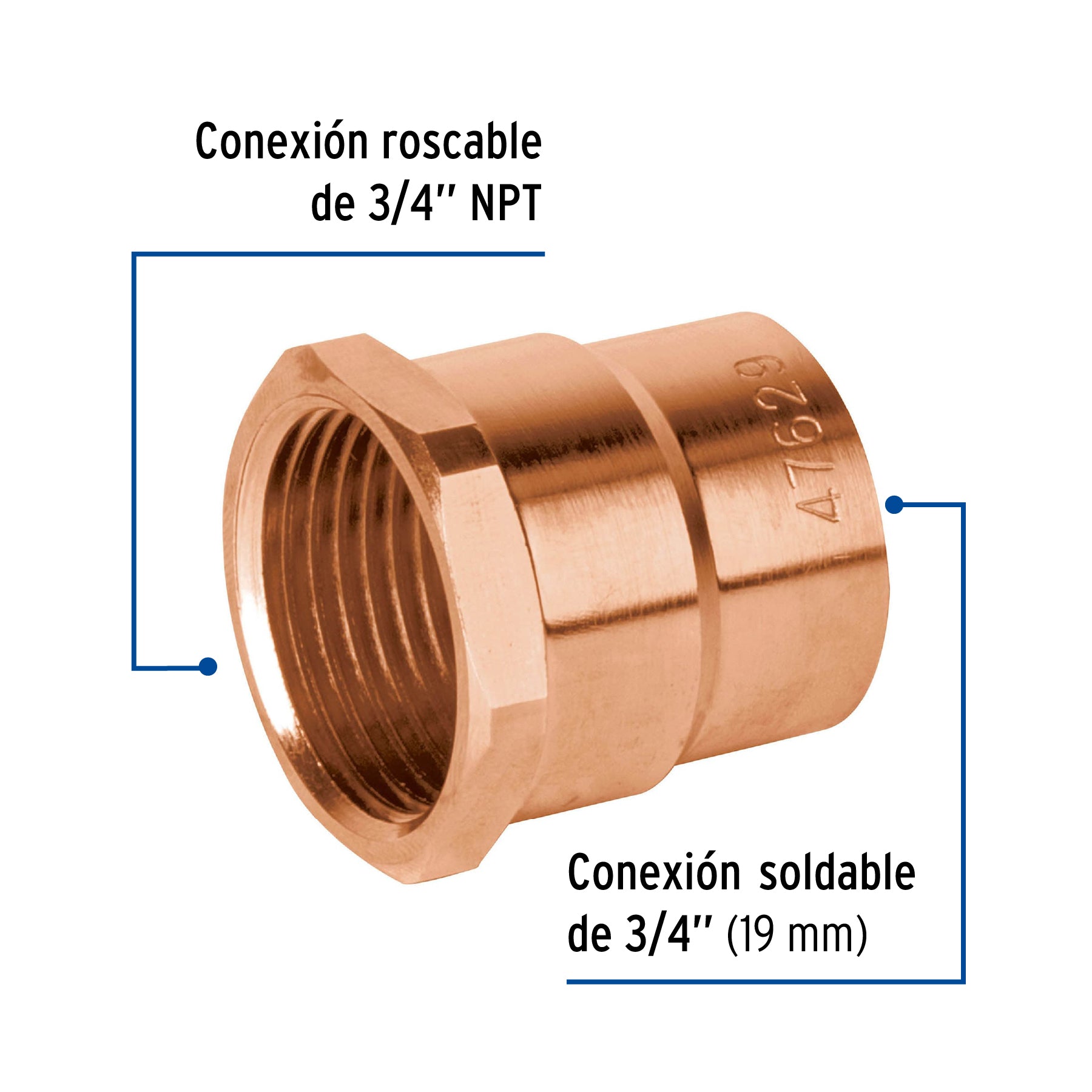 Conector de cobre de rosca interior 3/4", FOSET BASIC