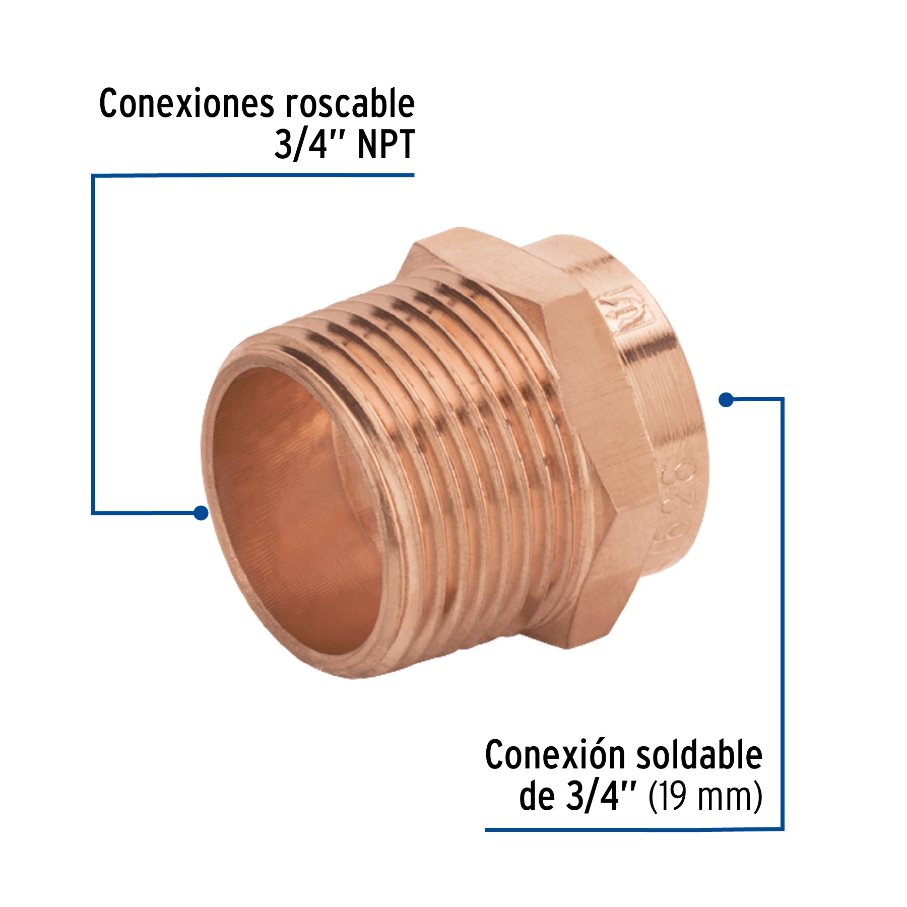 Conector de cobre de rosca exterior 3/4", FOSET BASIC