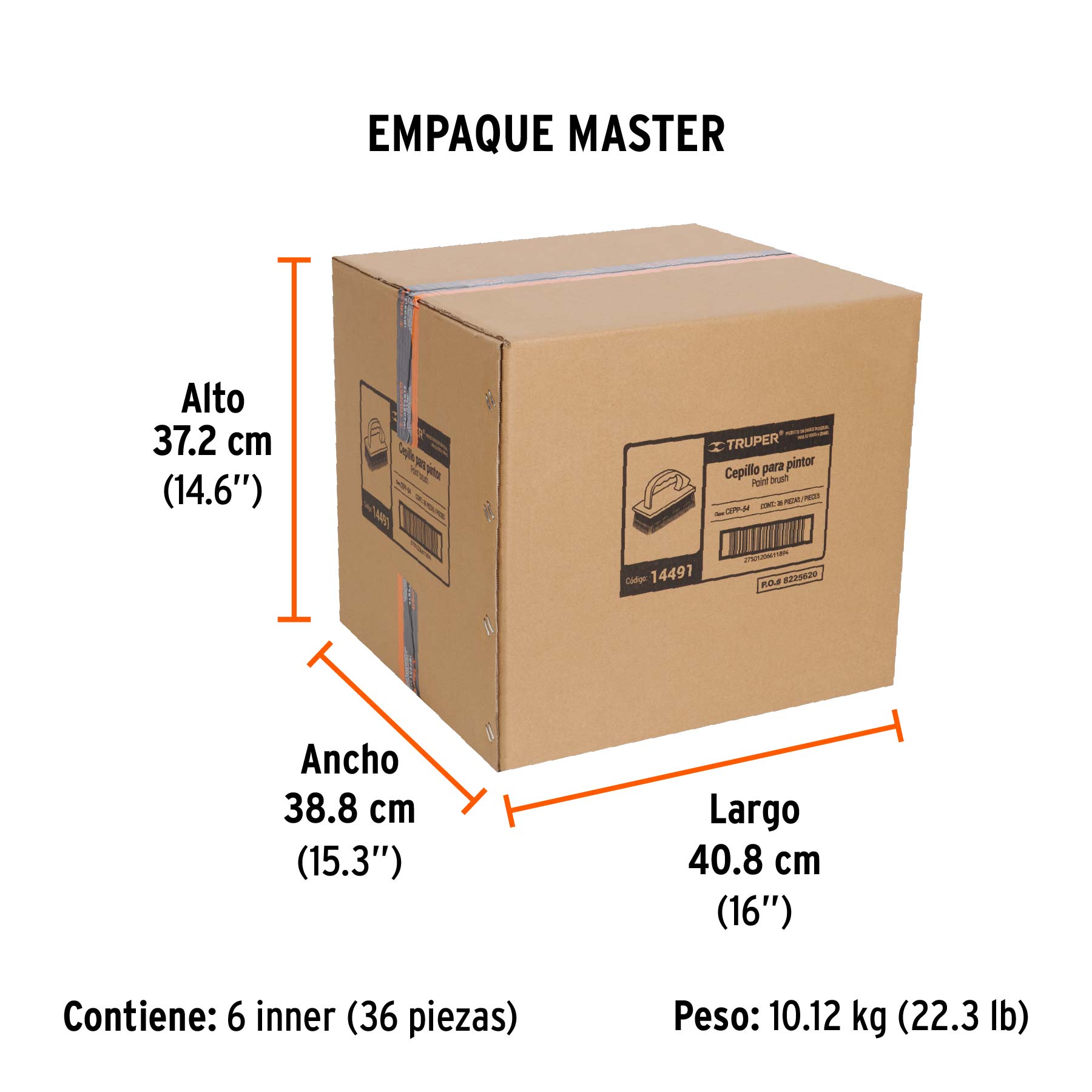 Cepillo para pintor, para limpieza con cerdas de ixtle - Empaque