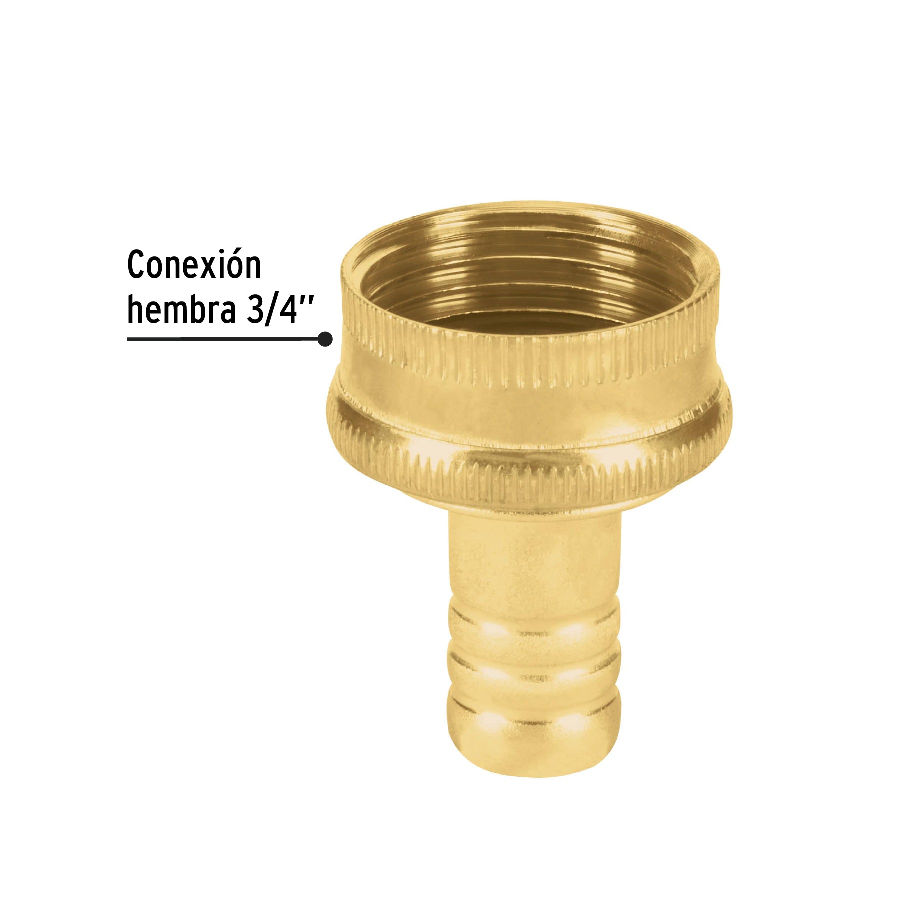 Conector 1/2" hembra de latón laminado, PRETUL