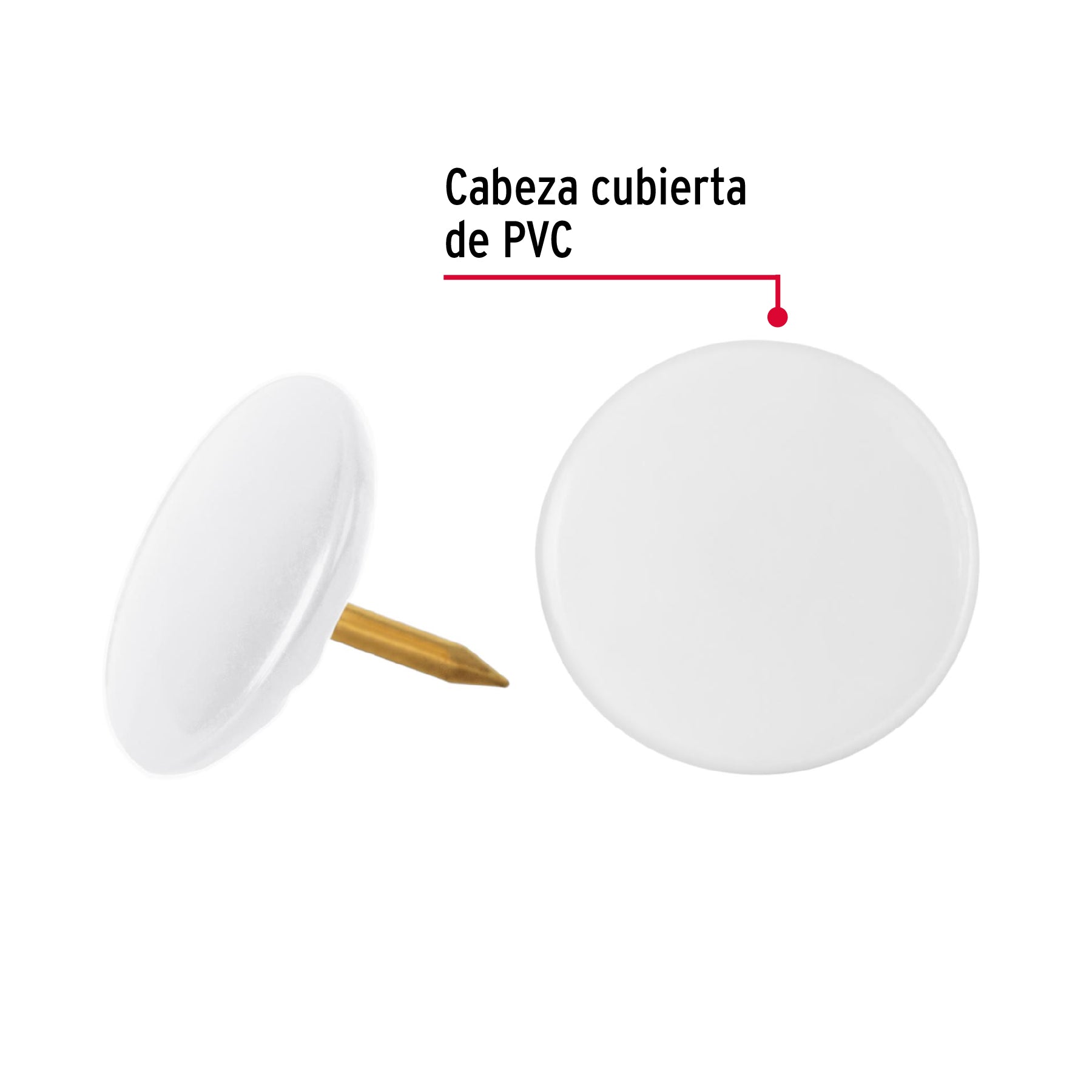 Caja con 100 chinches blancas, FIERO