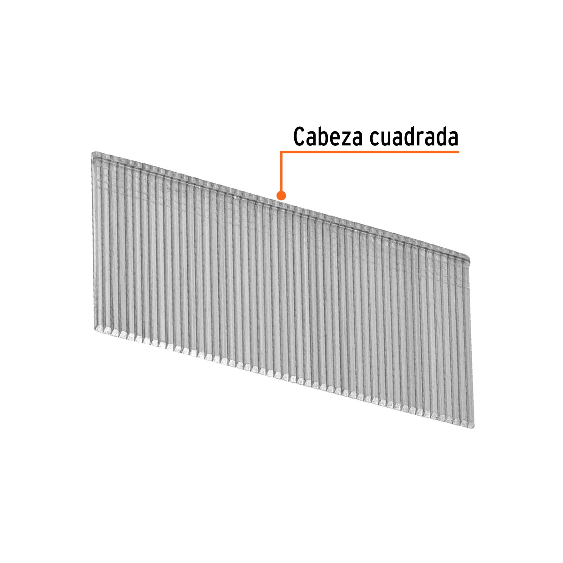 Caja con 2500 clavos calibre 16, 32 mm para CLNE-16, TRUPER