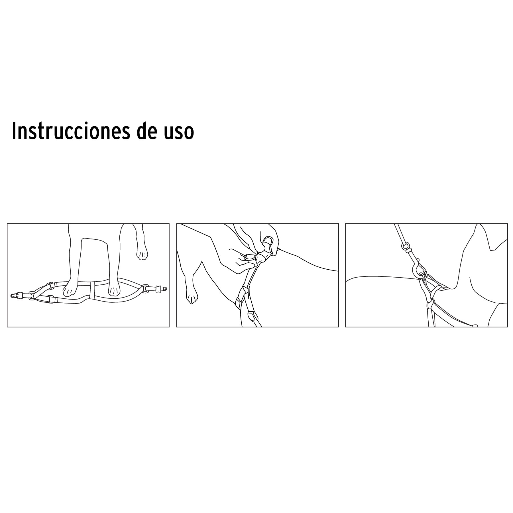 Correa con pechera para perro, 1 cm ancho, FIERO