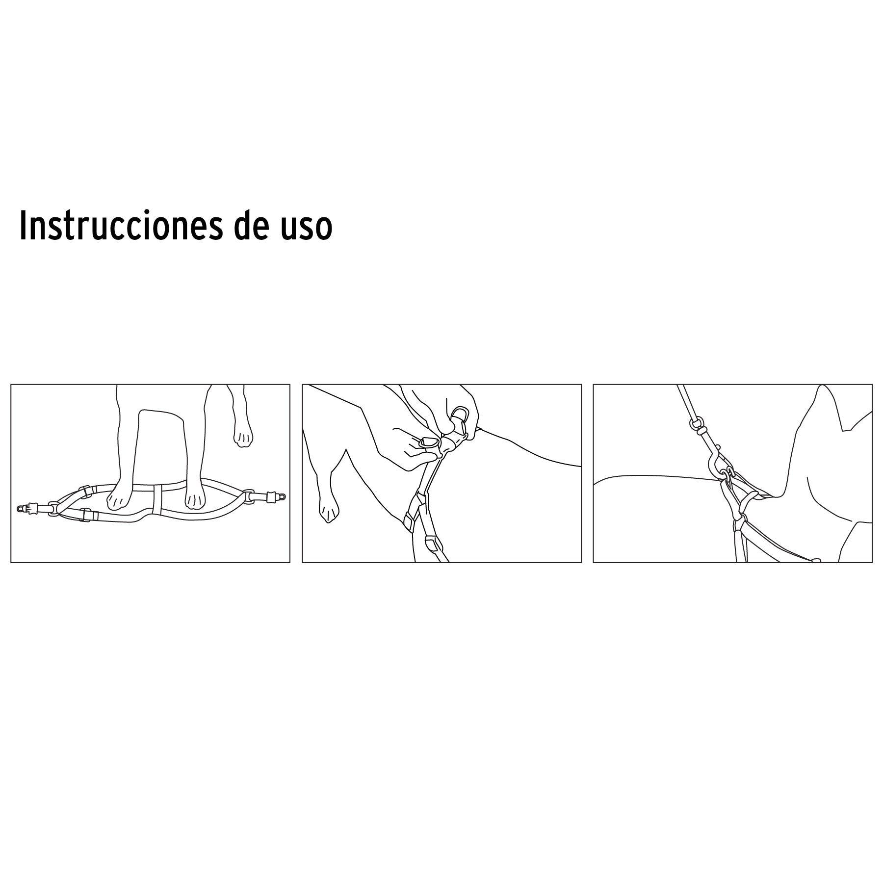 Correa con pechera para perro, 1.5 cm ancho, FIERO
