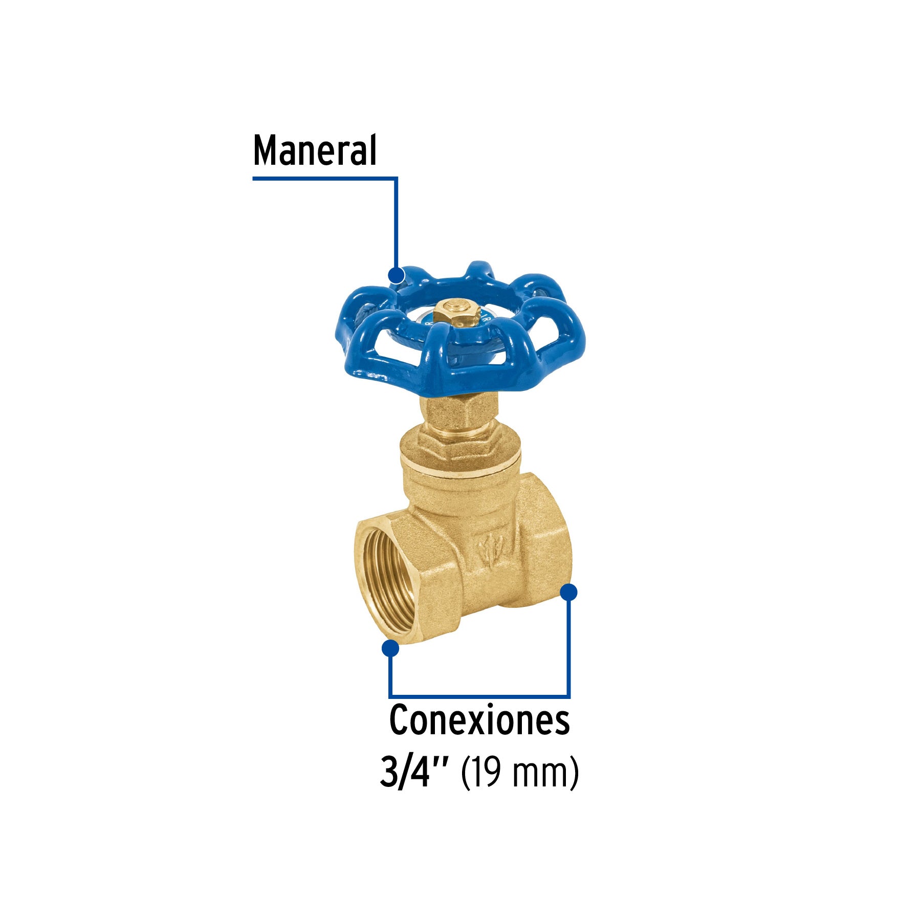 Válvula de compuerta de latón roscable de 3/4", FOSET