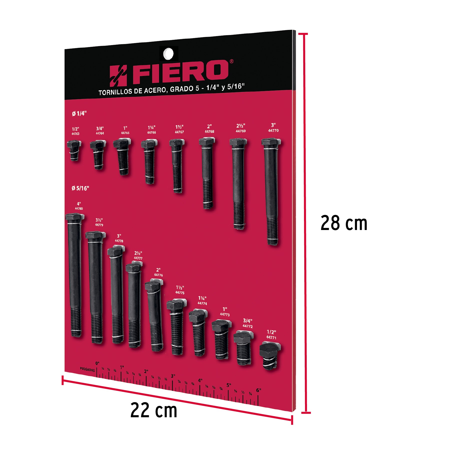 Exhibidor FIERO de tornillos #1, grado 5