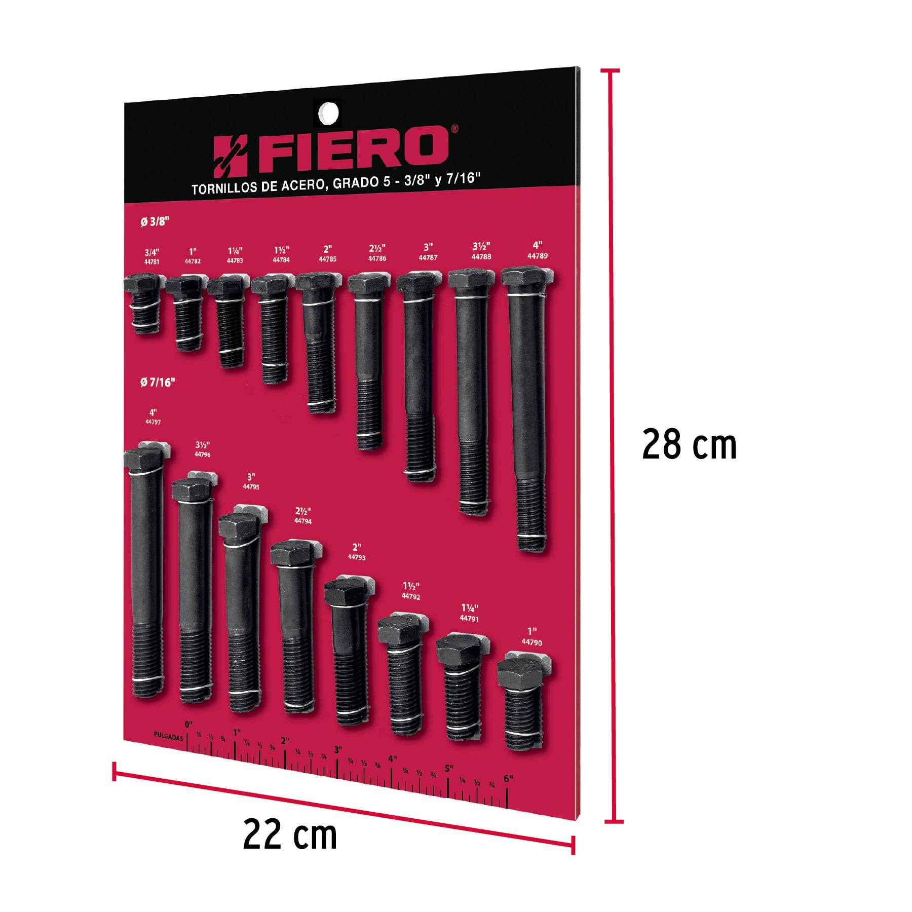 Exhibidor FIERO de tornillos #2, grado 5