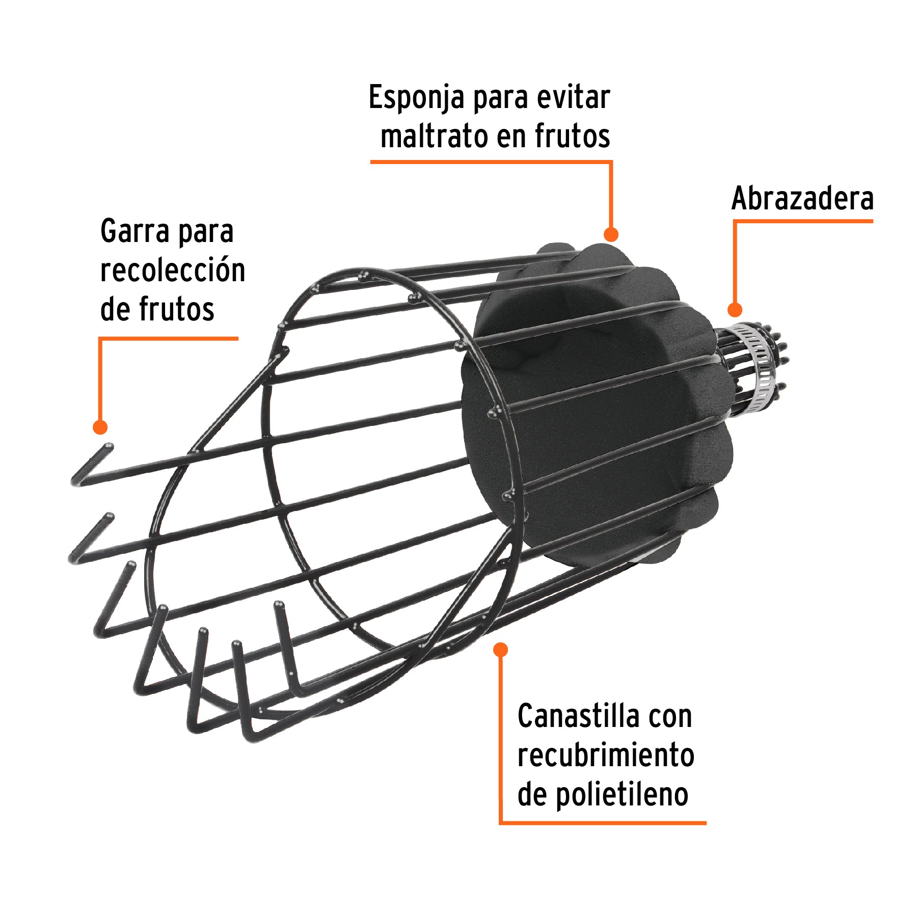 Recolector de fruta, sin mango, TRUPER