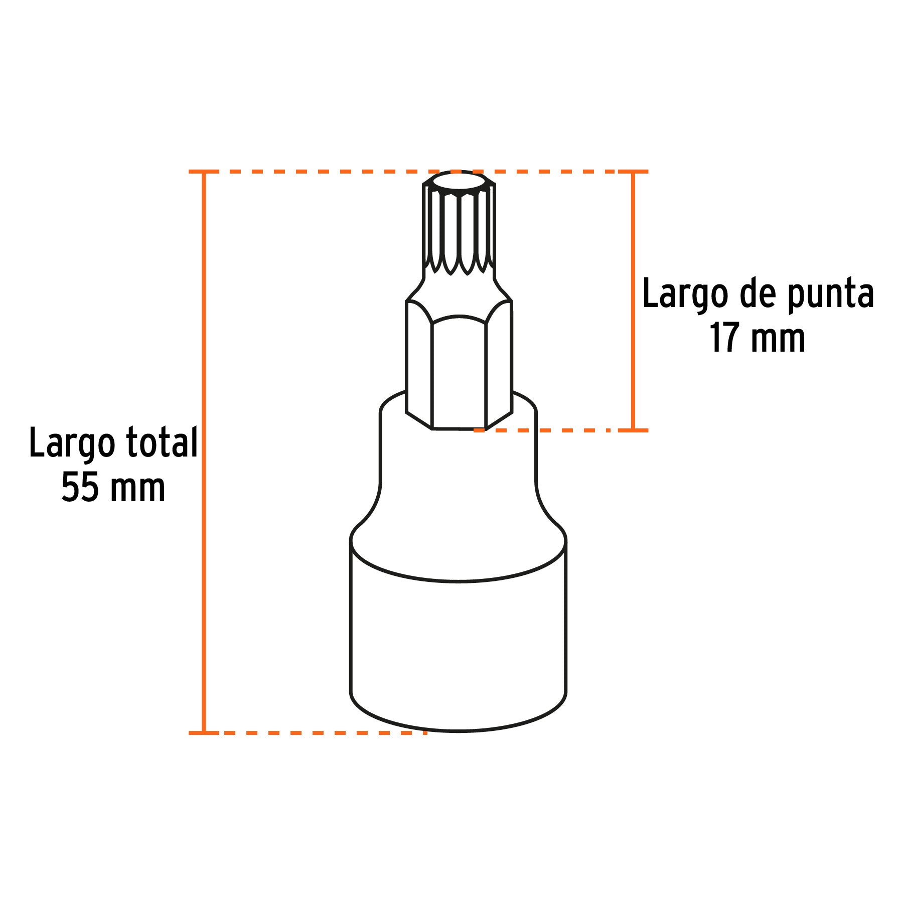Juego de 7 dados cuadro 1/2" punta corta bristol, en estuche