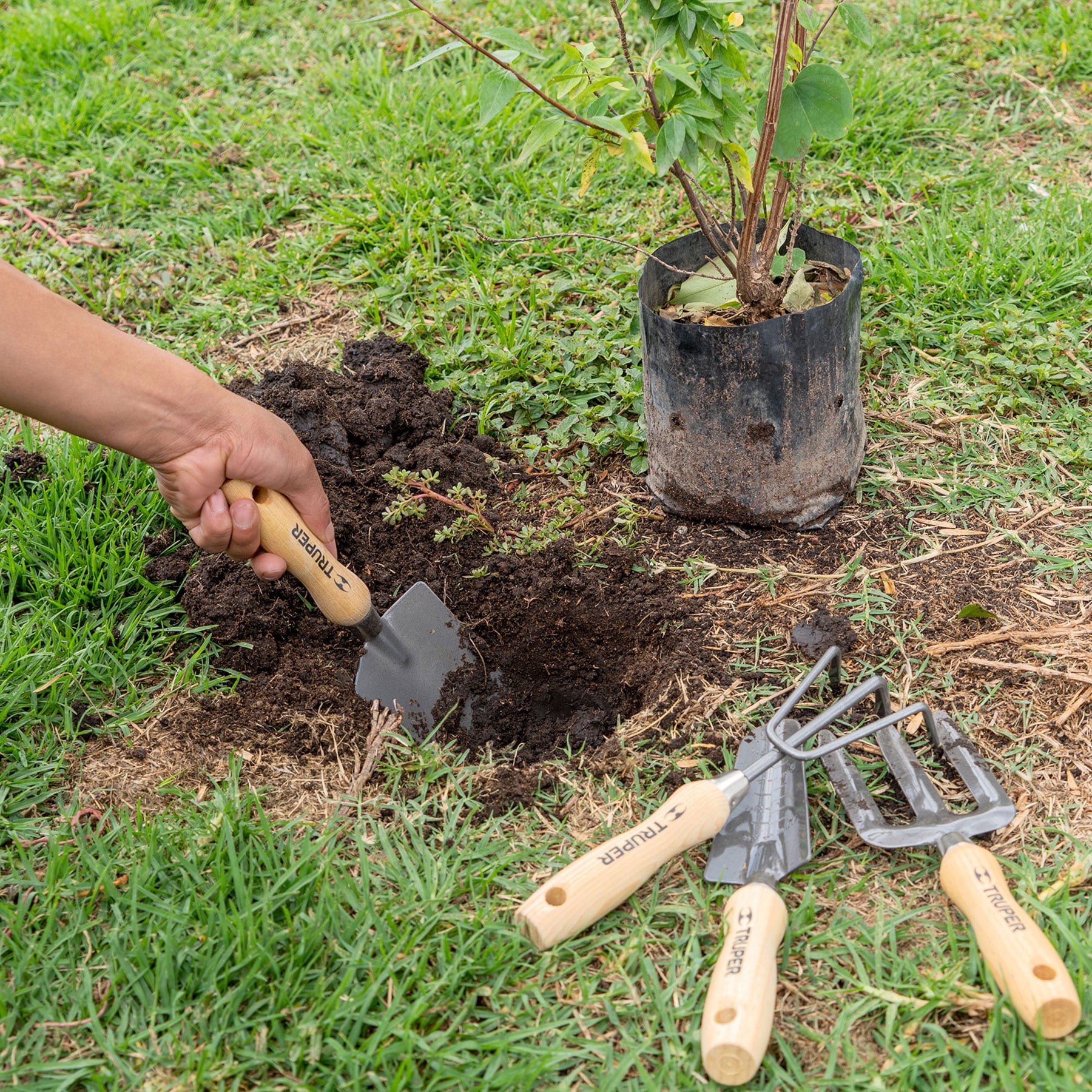 Juego de 4 herramientas, mangos de 6" para jardín, TRUPER