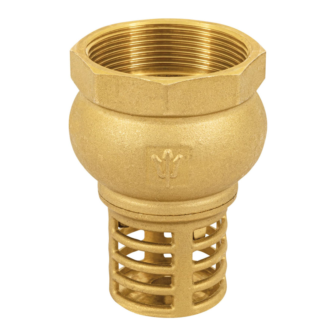 Pichancha con rejilla de latón 2", FOSET