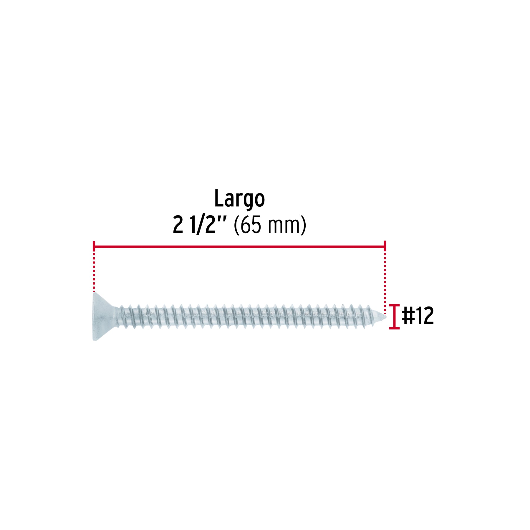 Bolsa 100 pijas para lámina cabeza plana #12 x 2-1/2", FIERO