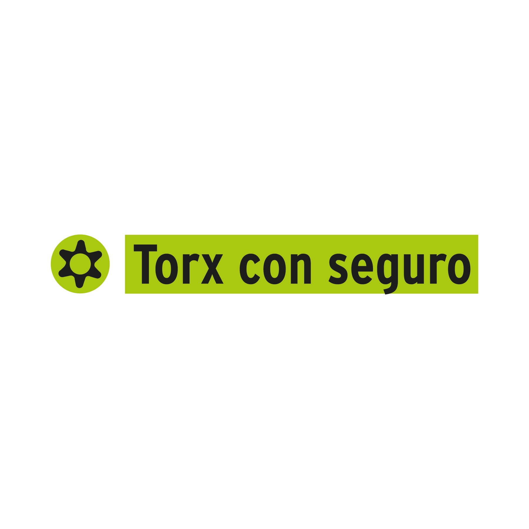 Estuche con 5 puntas torx T40 con seguro largo 2", EXPERT