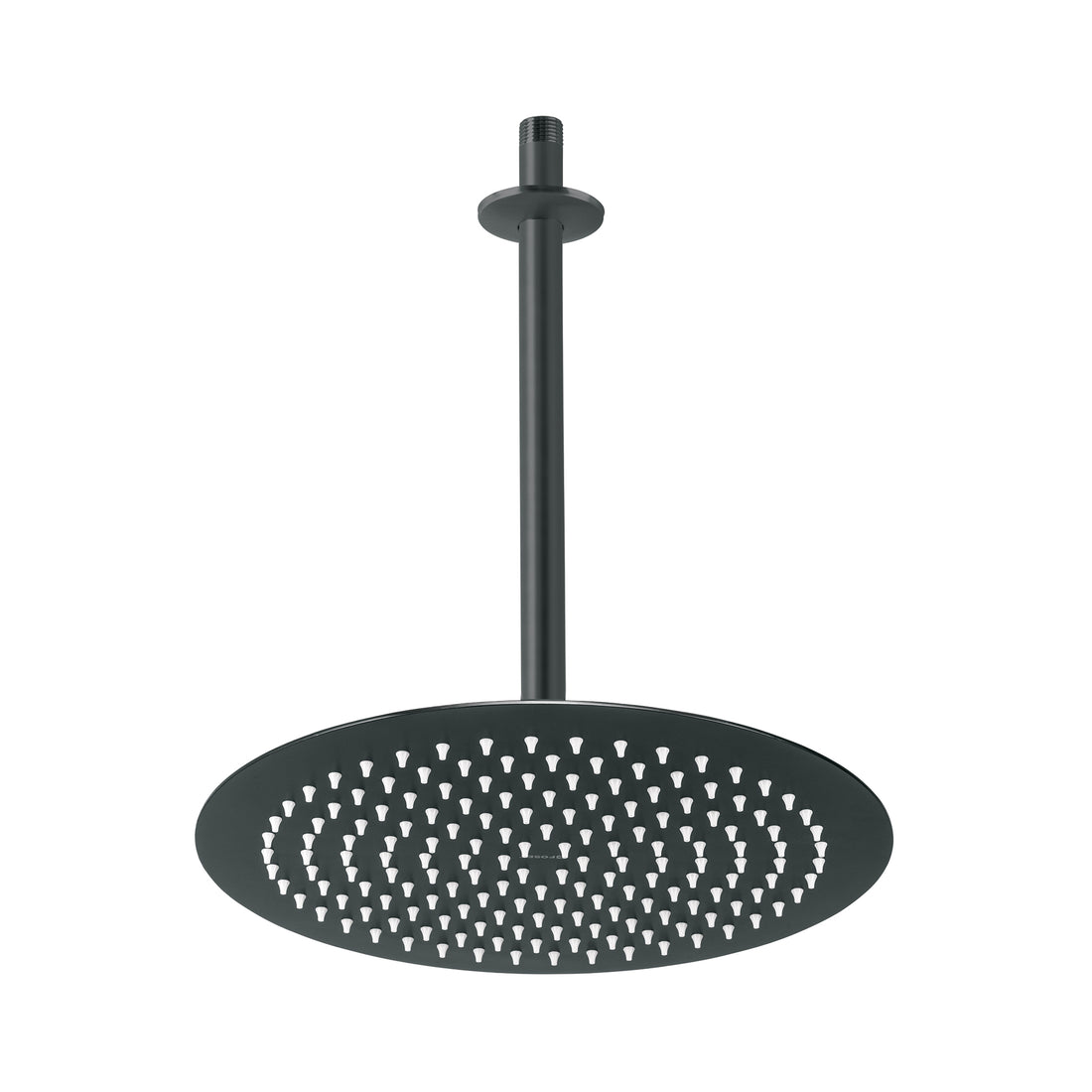 Regadera plato redondo 12" con brazo, negro, FOSET RIVIERA