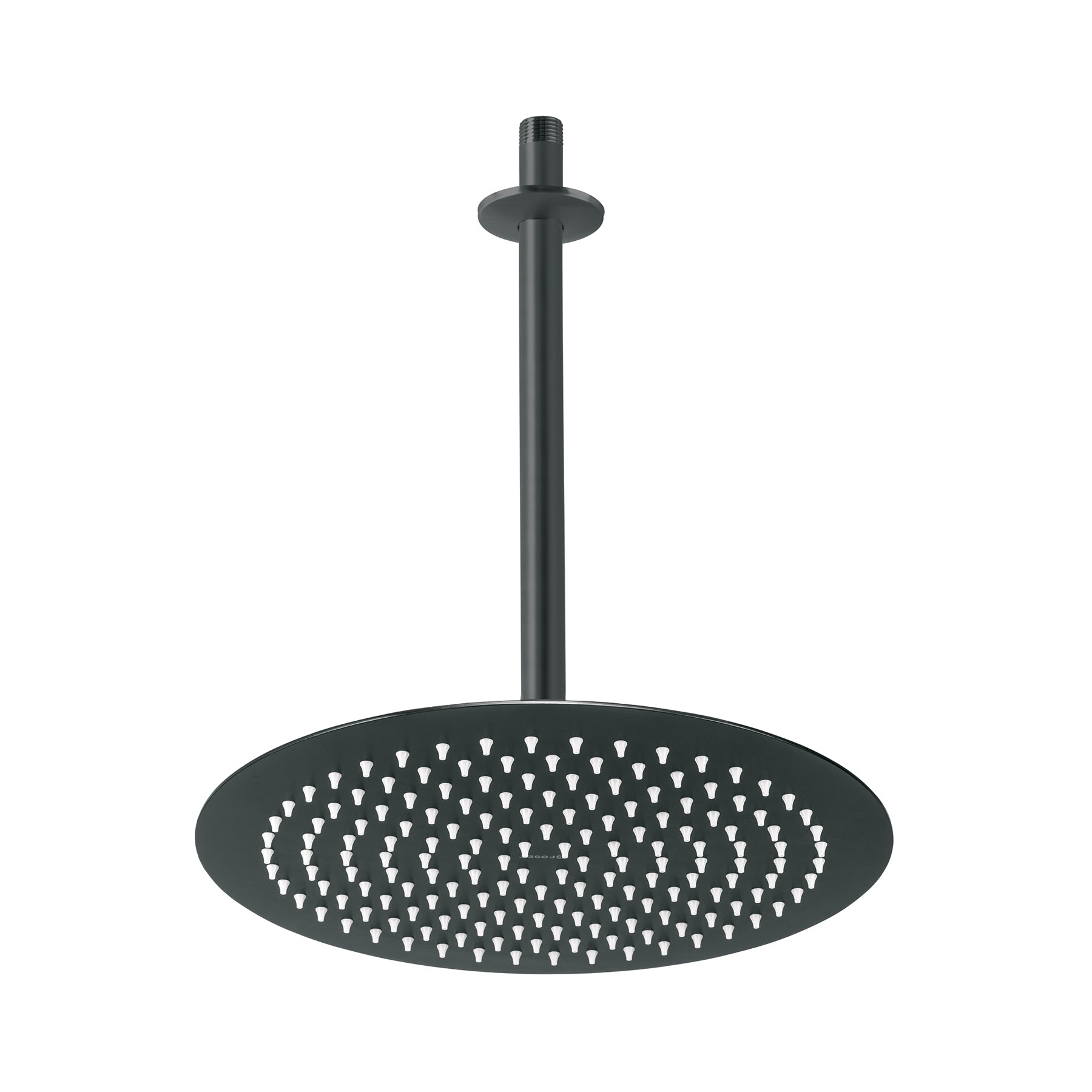 Regadera plato redondo 12" con brazo, negro, FOSET RIVIERA