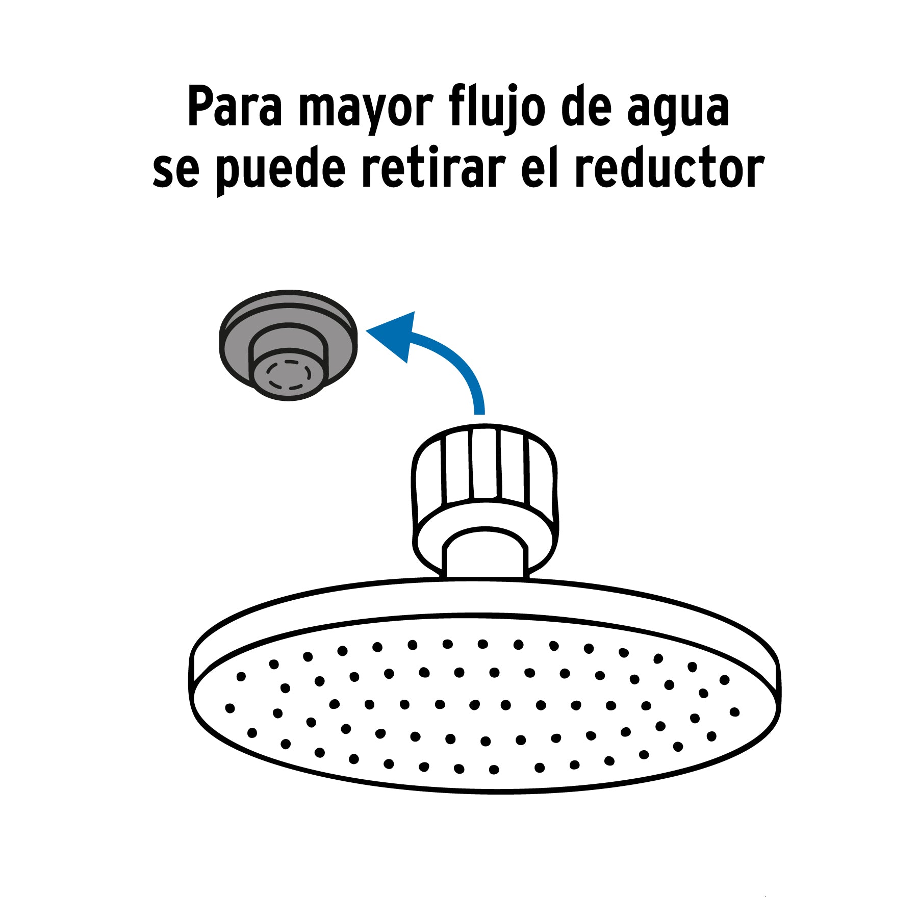 Regadera plato redondo 12" con brazo, negro, FOSET RIVIERA