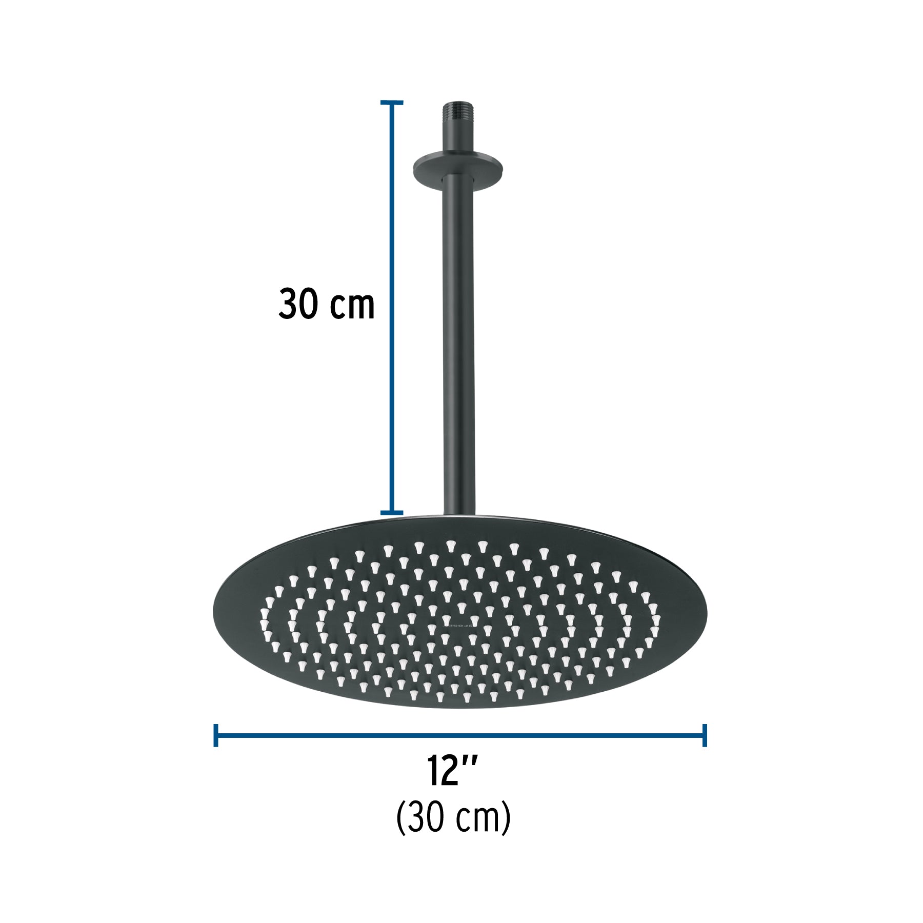 Regadera plato redondo 12" con brazo, negro, FOSET RIVIERA