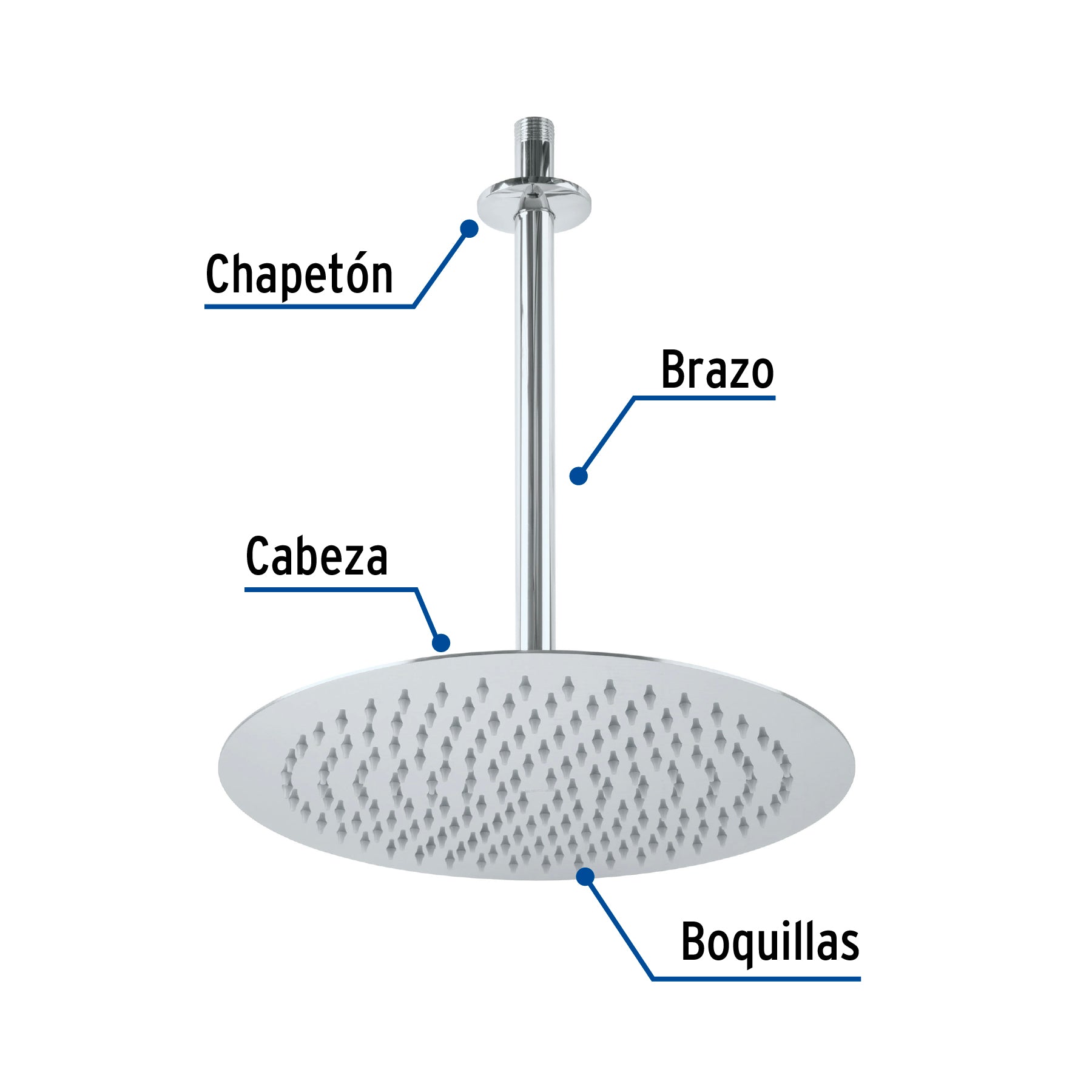 Regadera plato redondo 12" con brazo, cromo, FOSET RIVIERA