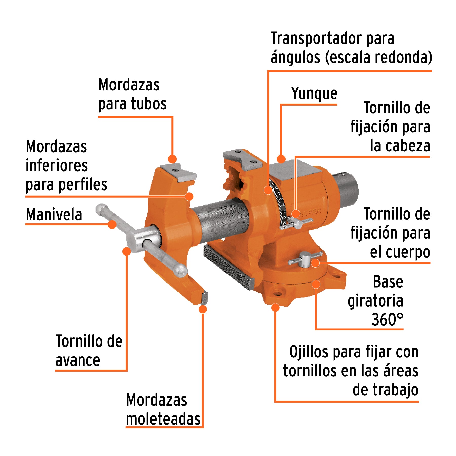 Tornillo de banco 5" multipropósito de hierro dúctil, TRUPER