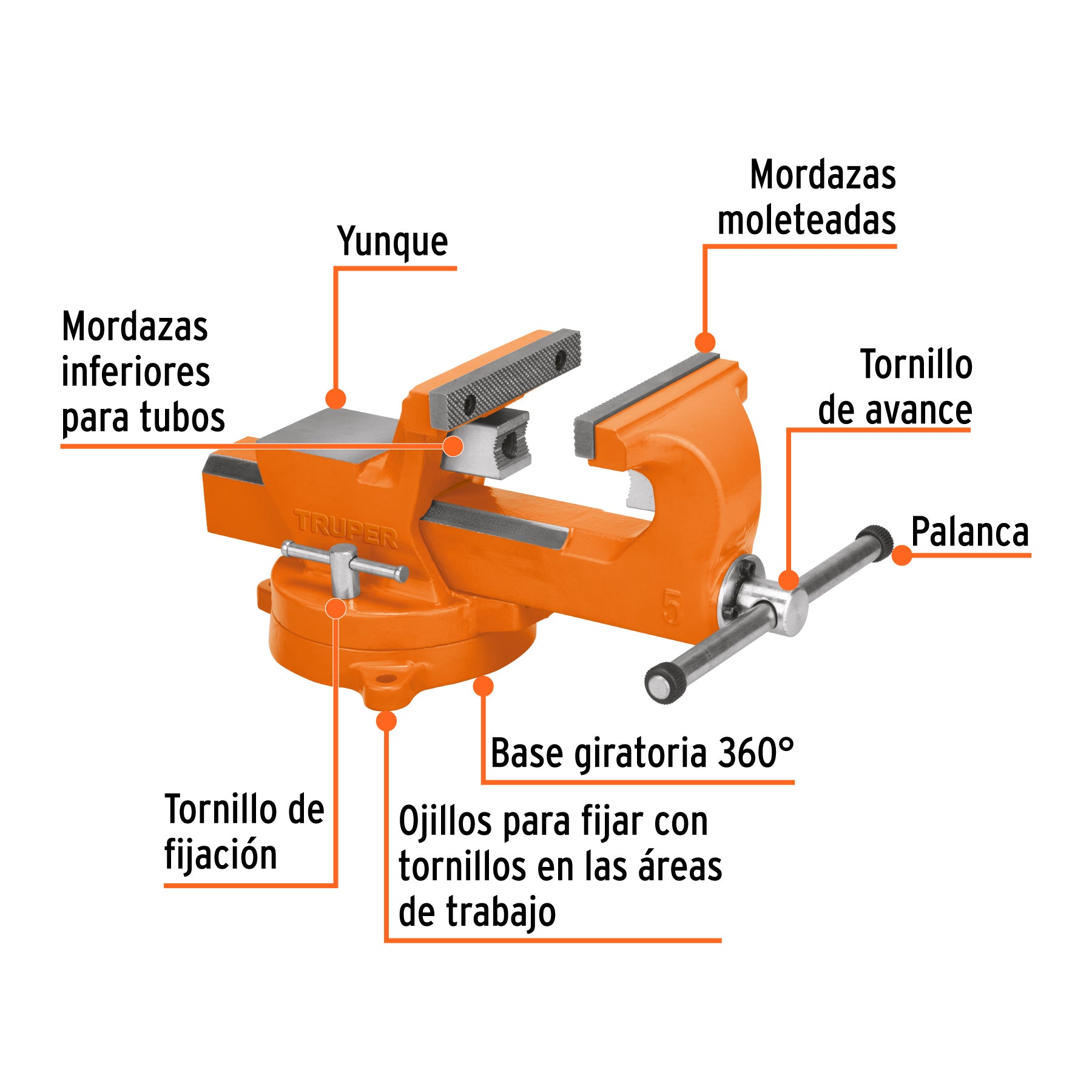 Tornillo de banco 5" industrial de hierro dúctil, EXPERT