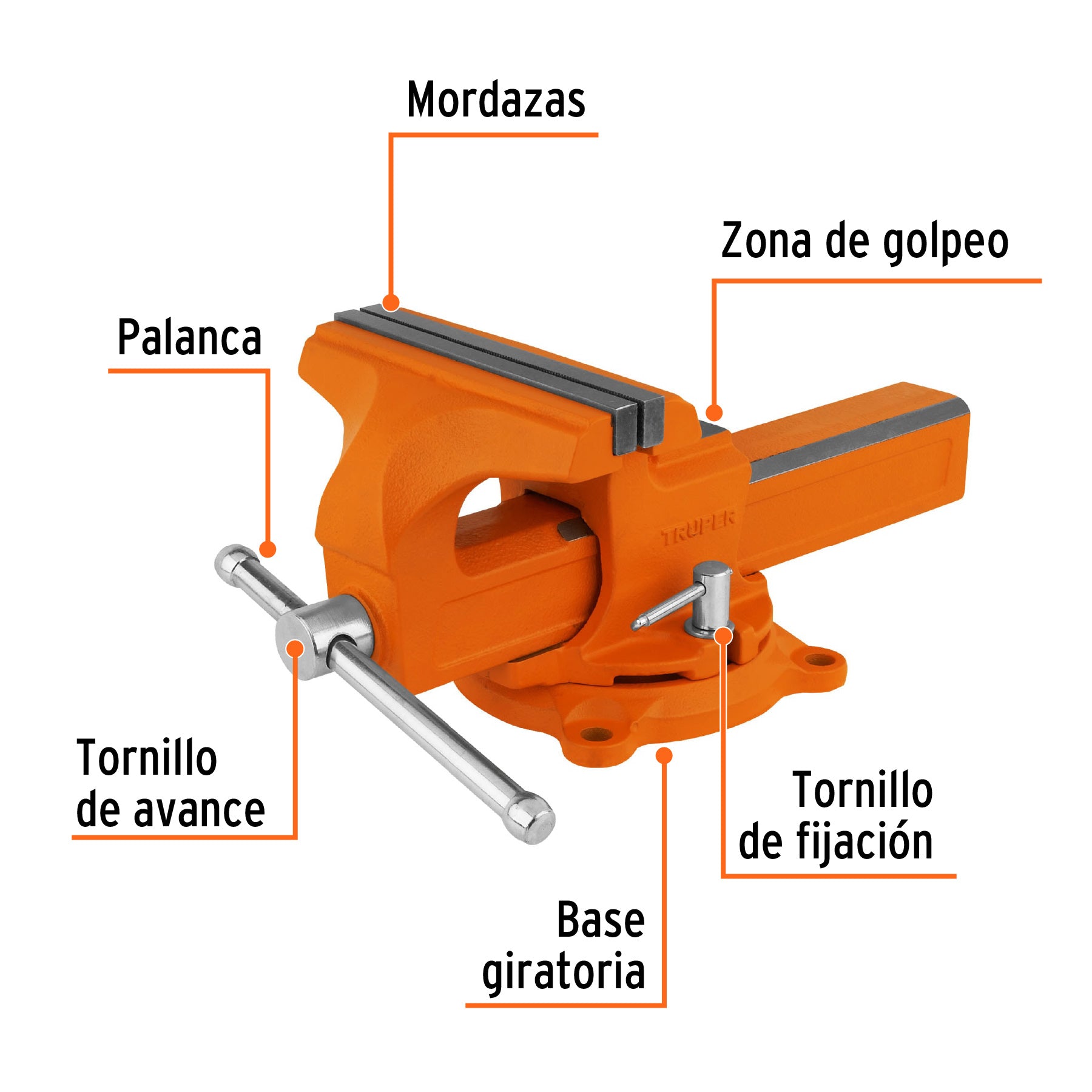Tornillo de banco 8" tipo europeo de hierro nodular, TRUPER