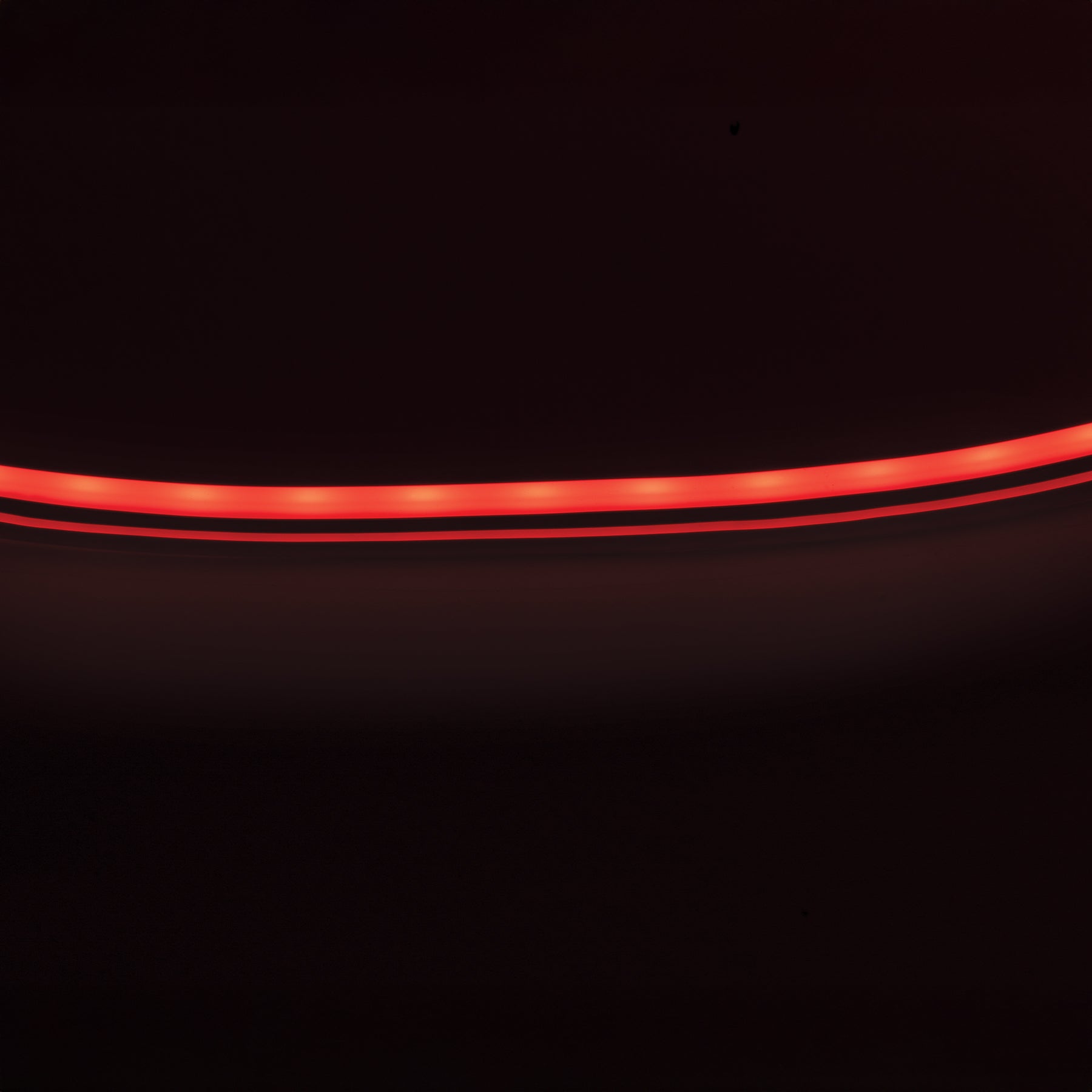 Tira flex LED neón 11 W para interior y exterior, 5 m, RGB