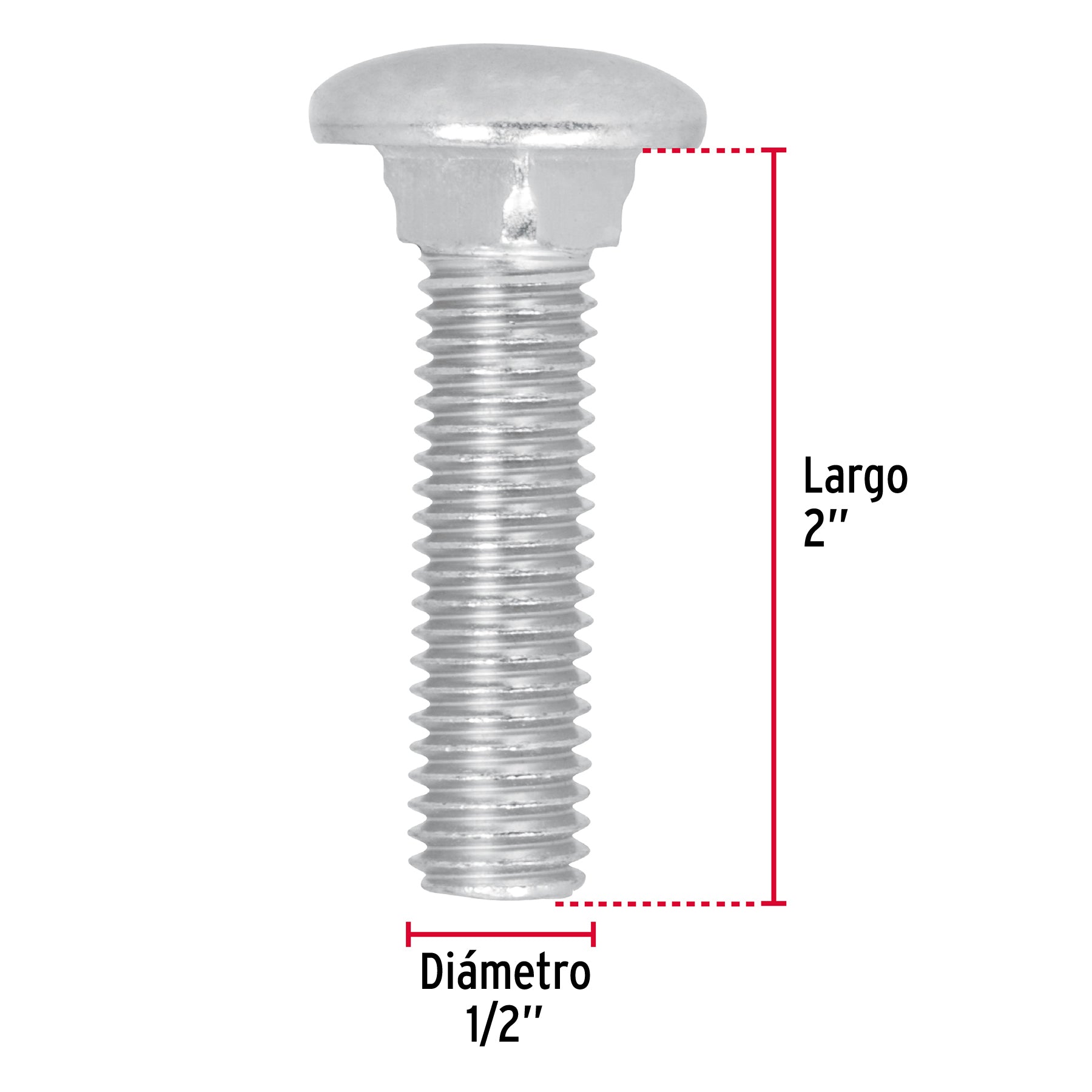 Bolsa con 30 tornillos 1/2" x 2" tipo coche, FIERO