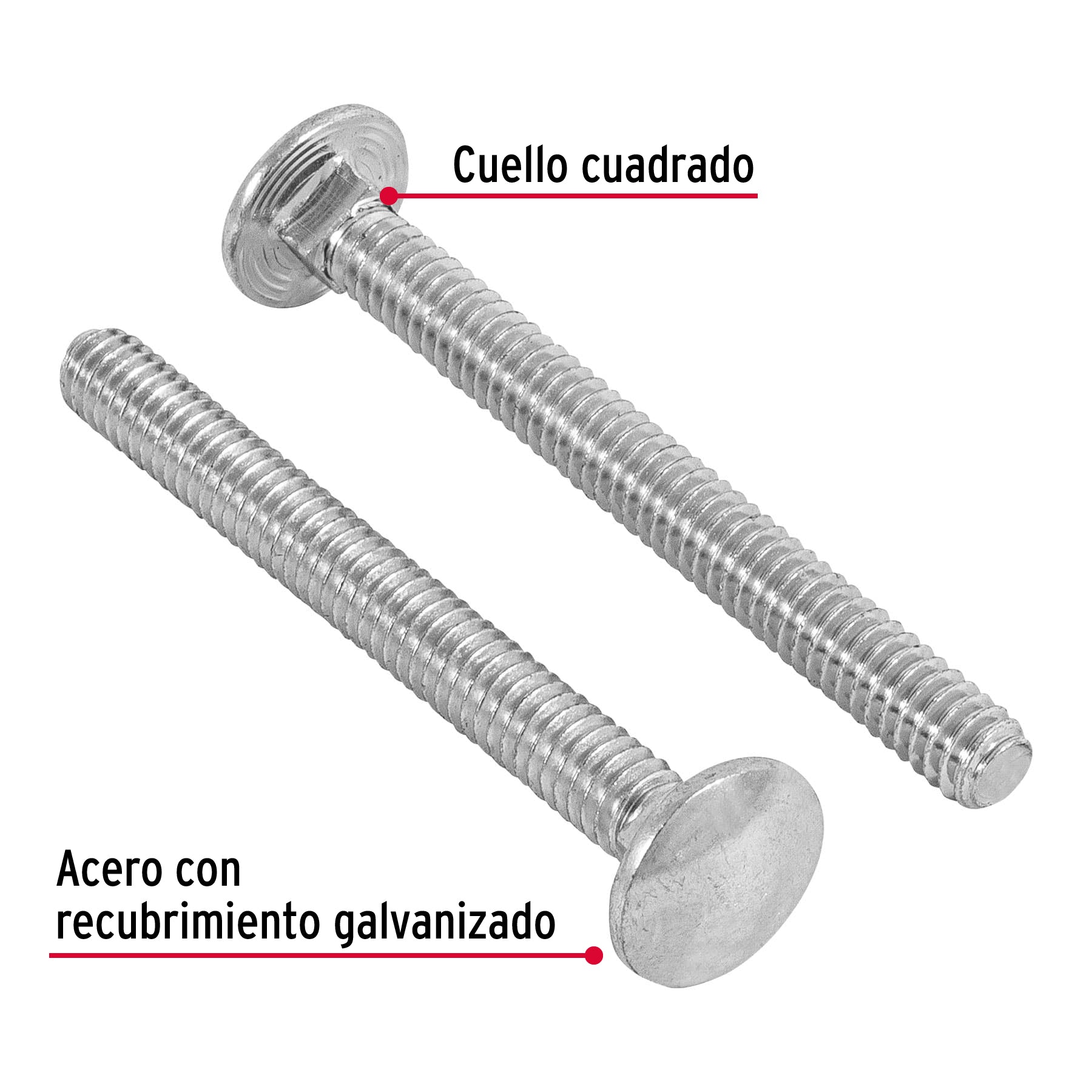 Bolsa con 50 tornillos 1/4" x 2-1/2" tipo coche, FIERO
