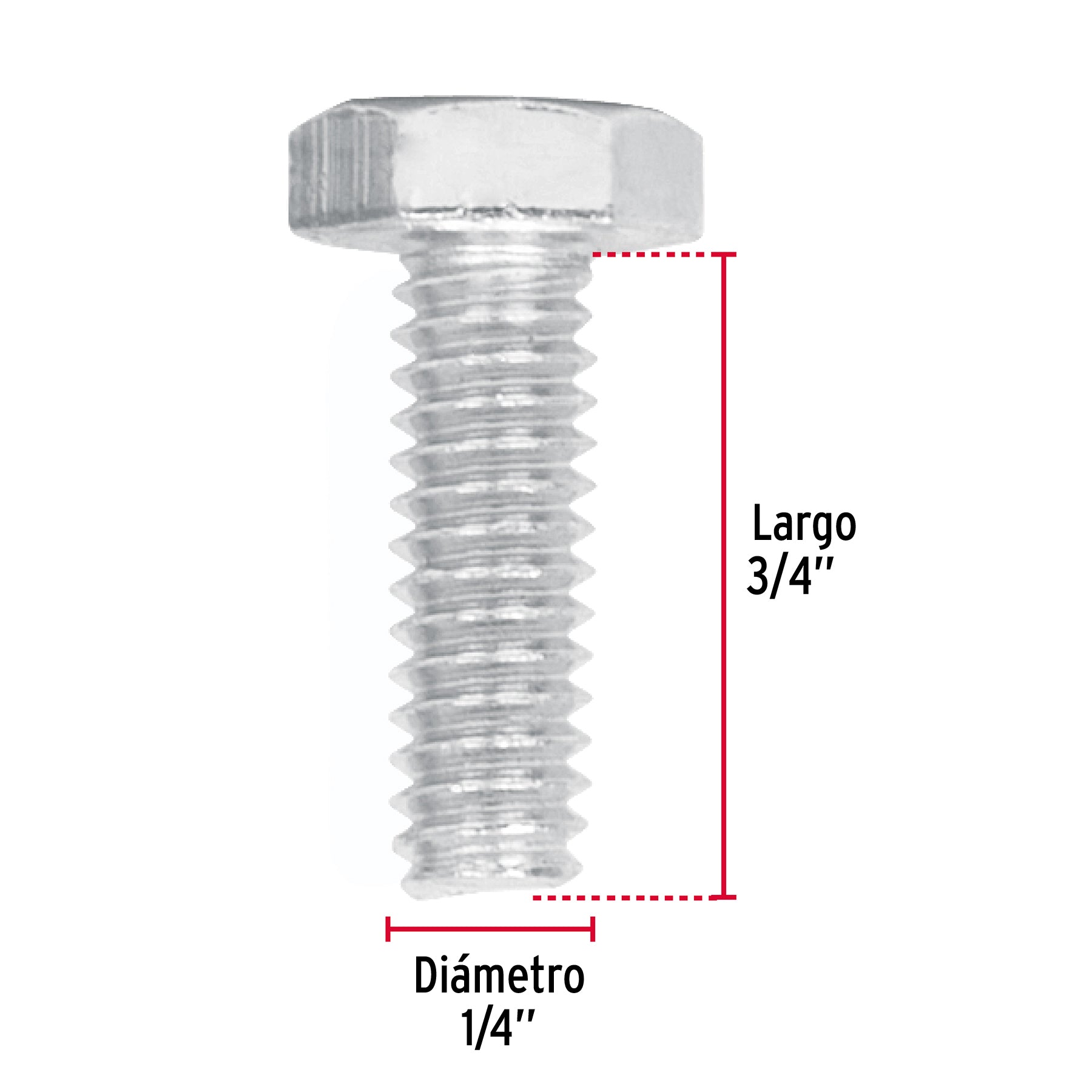 Bolsa con 100 tornillos 1/4" x 3/4" tipo máquina, FIERO